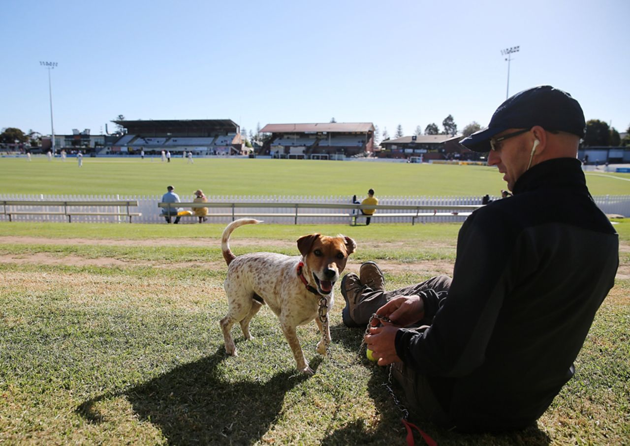 A man and his dog watches the Sheffield Shield, South Australia v Queensland, Sheffield Shield, Adelaide, 1st day, October 30, 2013 