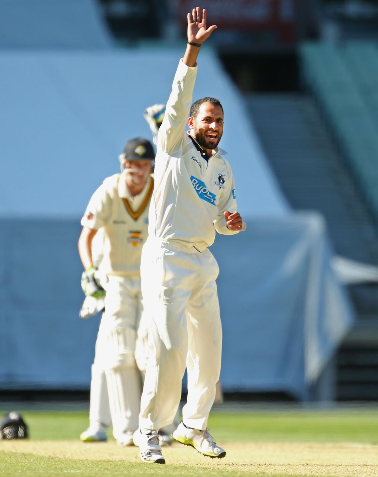 Fawad Ahmed took his career best first-class haul, Victoria v Western Australia, Sheffield Shield, 2nd day, October 31, 2013
