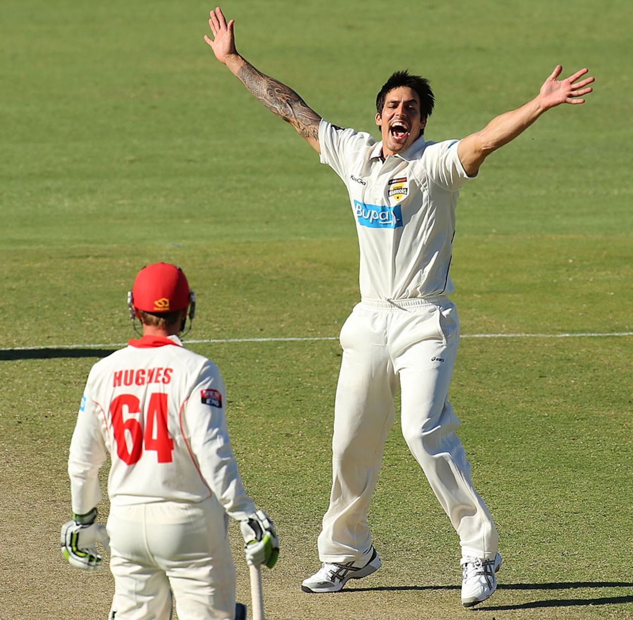 Mitchell Johnson struck with the first ball of South Australia's second innings, Western Australia v South Australia, Sheffield Shield, Perth, 2nd day, November 7, 2013