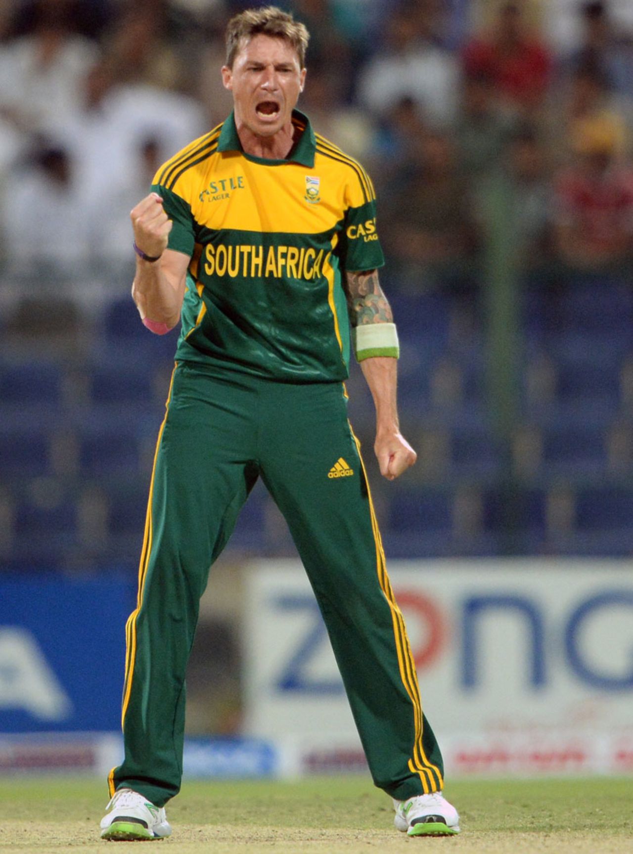 Dale Steyn finished with career-best figures of 5 for 25, Pakistan v South Africa, 4th ODI, Abu Dhabi, November 8, 2013