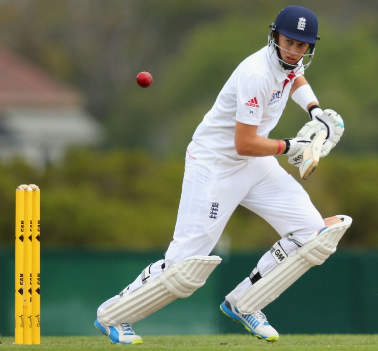 Joe Root pushes one to the off side, Australia A v England, Hobart, 4th day, November 9, 2013