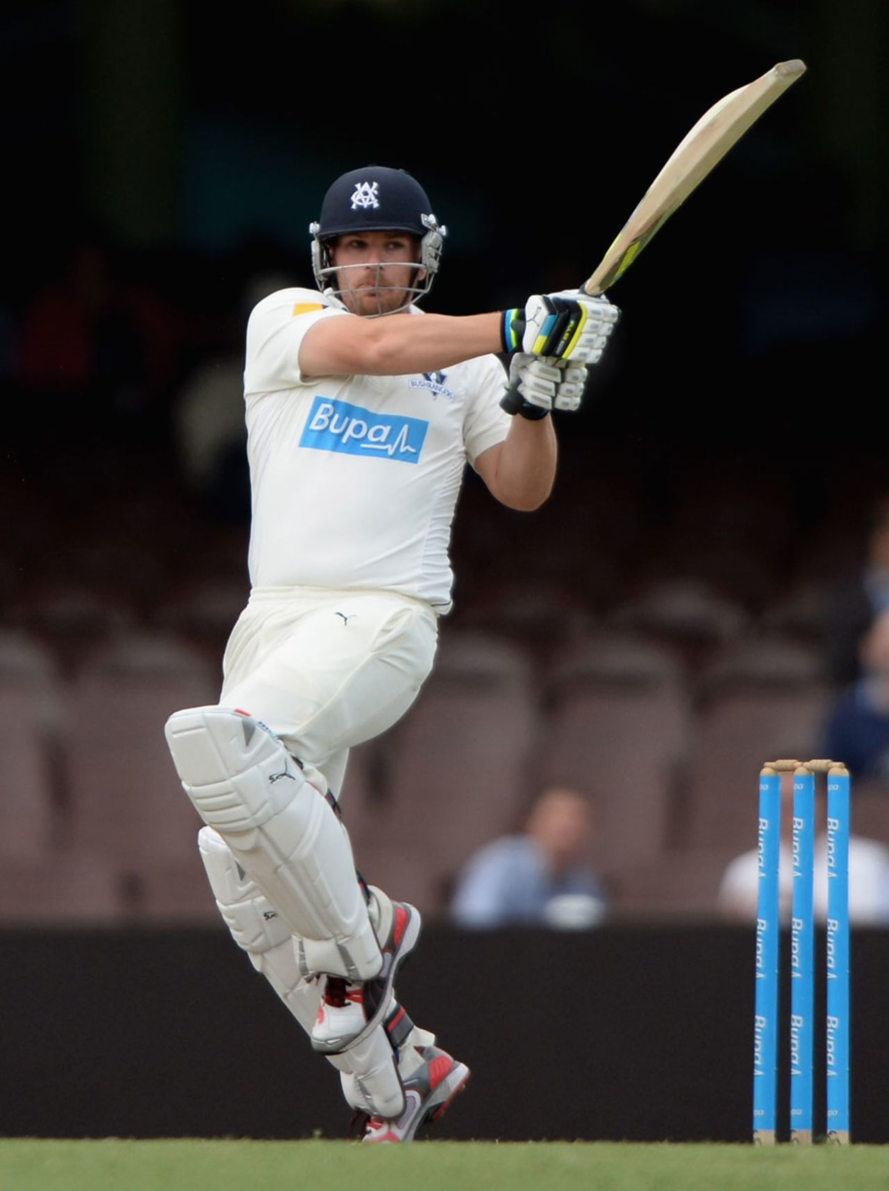 Aaron Finch struck a rapid half-century, Cricket Australia Invitational XI v England, Sydney, 3rd day, November 15, 2013