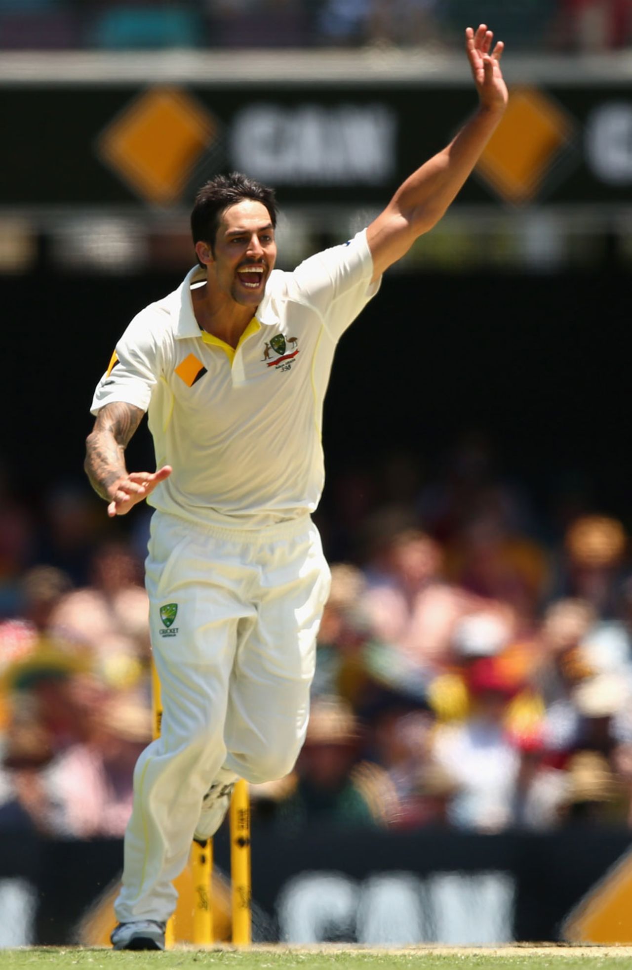 Mitchell Johnson struck immediately before lunch, Australia v England, 1st Test, Brisbane, 2nd day, November 22, 2013
