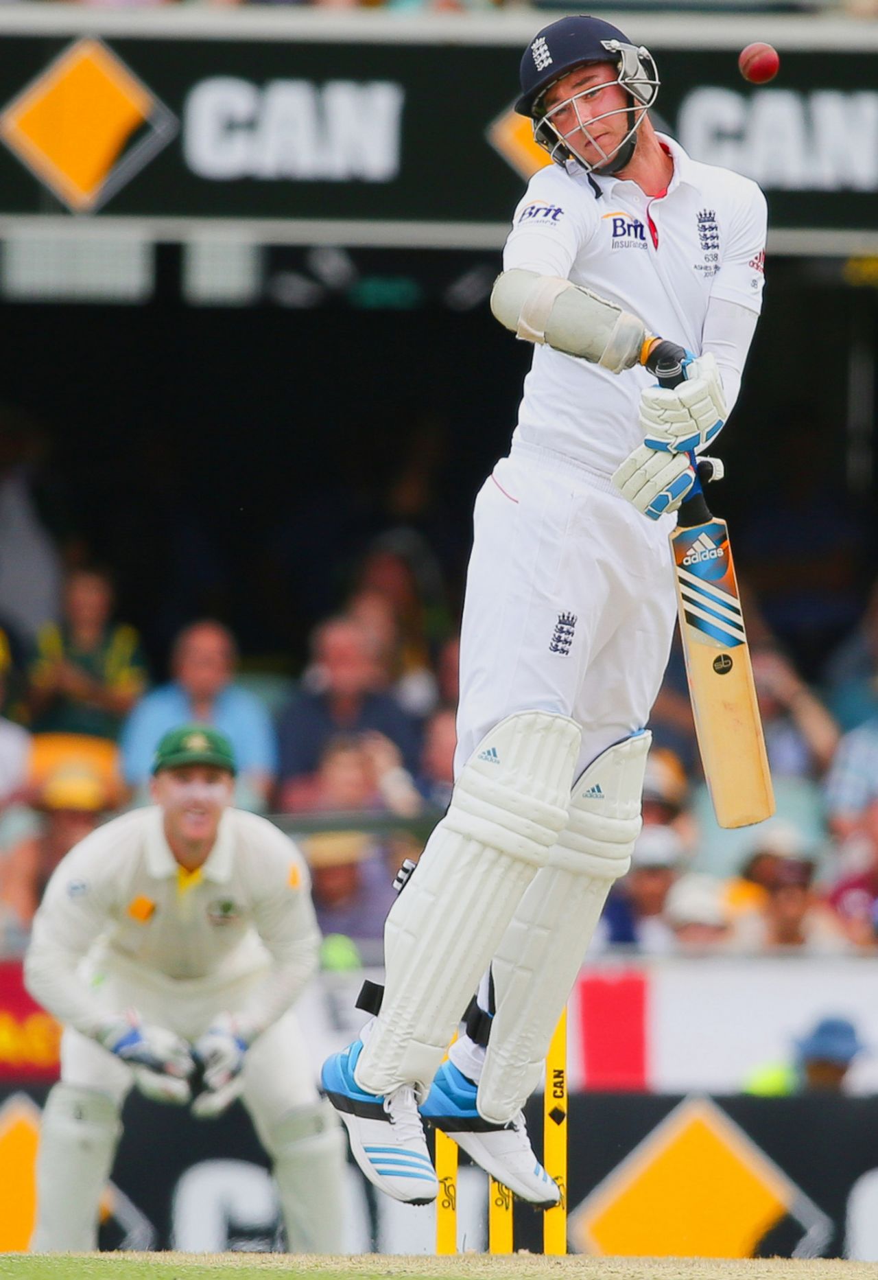 Stuart Broad receives another short one, Australia v England, 1st Test, Brisbane, 2nd day, November 22, 2013