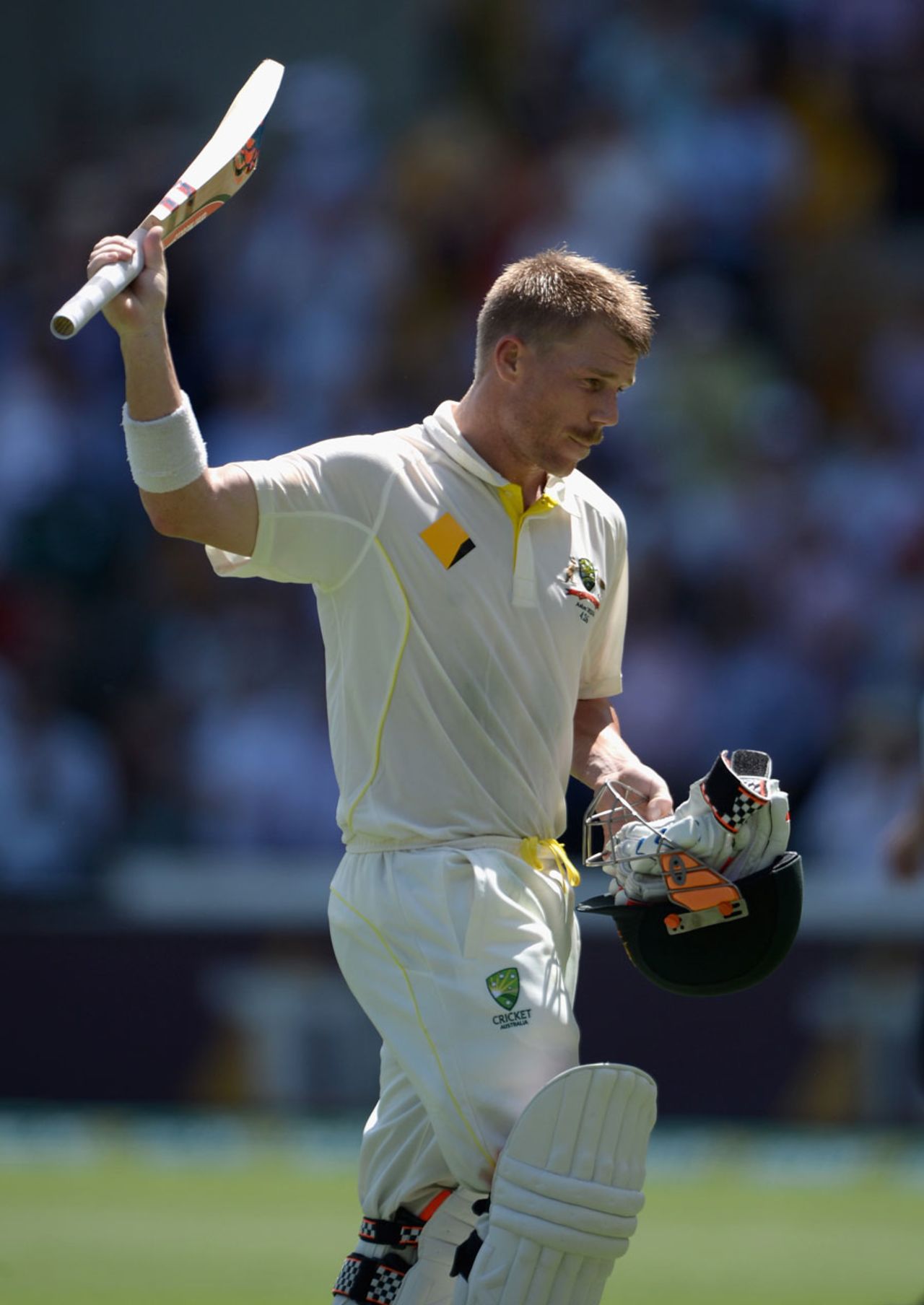David Warner walks off with 124 to his name, Australia v England, 1st Test, Brisbane, 3rd day, November 23, 2013
