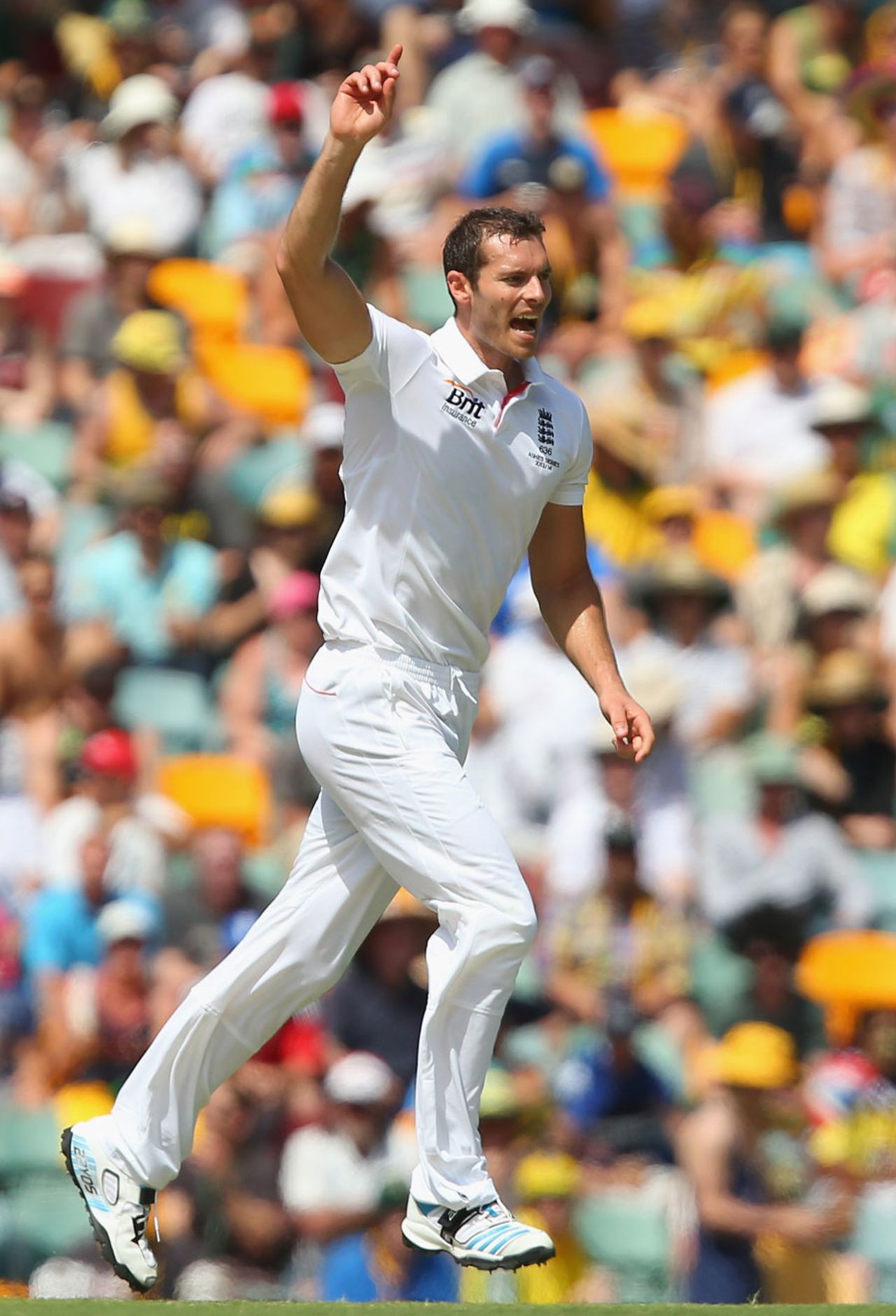 Chris Tremlett picked up his second wicket, Australia v England, 1st Test, Brisbane, 3rd day, November 23, 2013