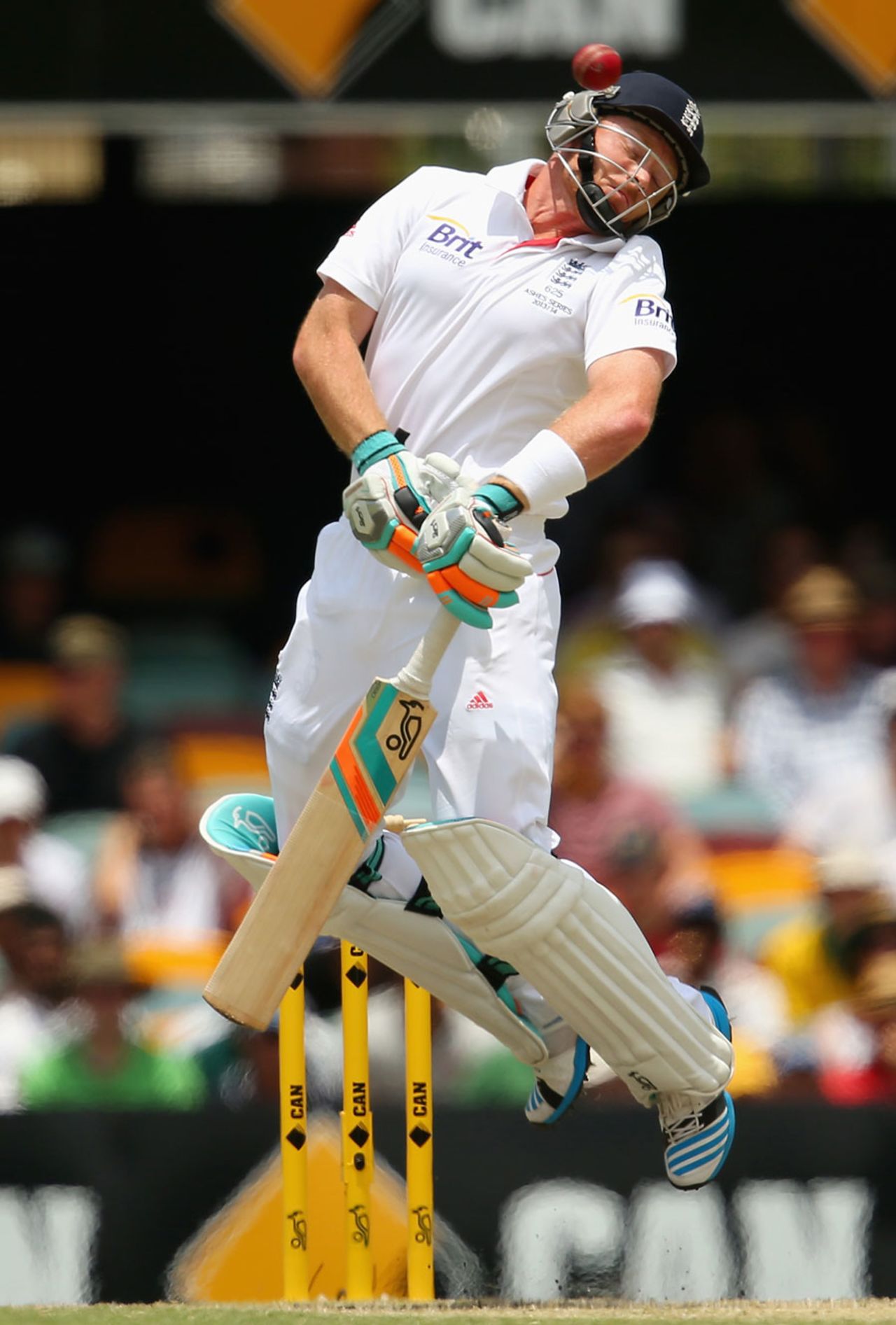 Ian Bell sways to avoid a short ball, Australia v England, 1st Test, Brisbane, 4th day, November 24, 2013