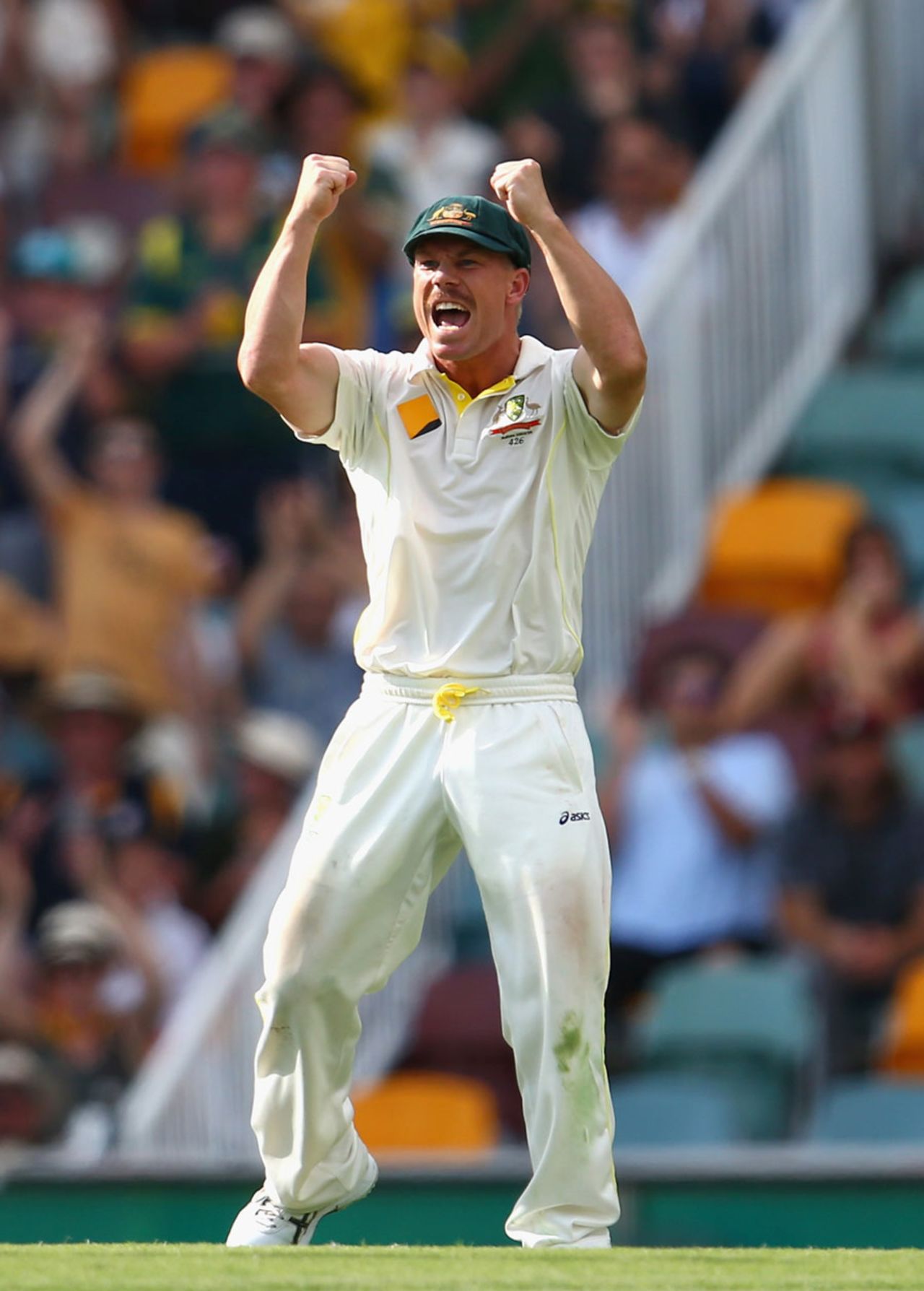 David Warner roars after his catch dismissed Matt Prior, Australia v England, 1st Test, Brisbane, 4th day, November 24, 2013