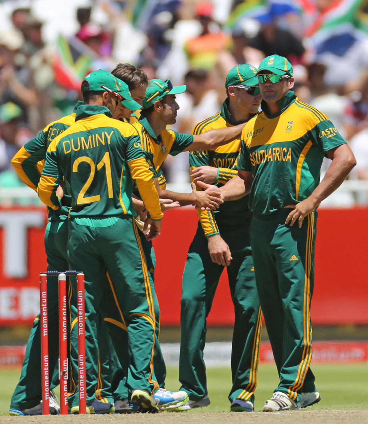The South African players celebrate the wicket of Nasir Jamshed, South Africa v Pakistan, 1st ODI, Cape Town, November 24, 2013