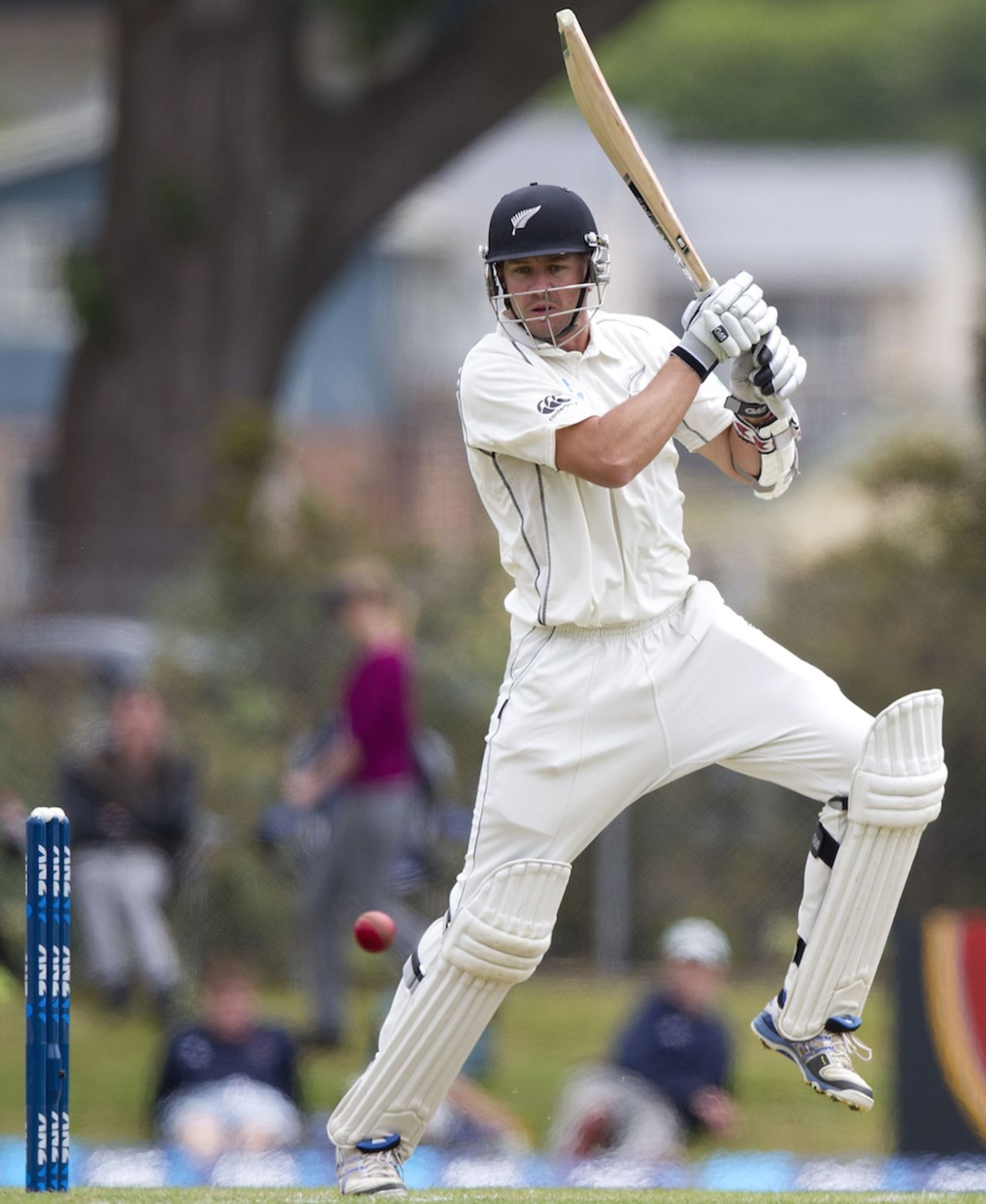 Peter Fulton cuts one powerfully through point, New Zealand v West Indies, 1st Test, Dunedin, 1st day, December 3, 2013