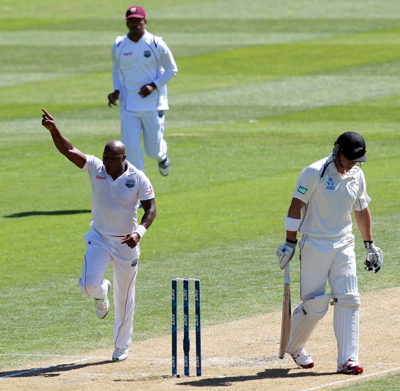 Tino Best is pumped after removing Corey Anderson, New Zealand v West Indies, 1st Test, Dunedin, 2nd day, December 4, 2013