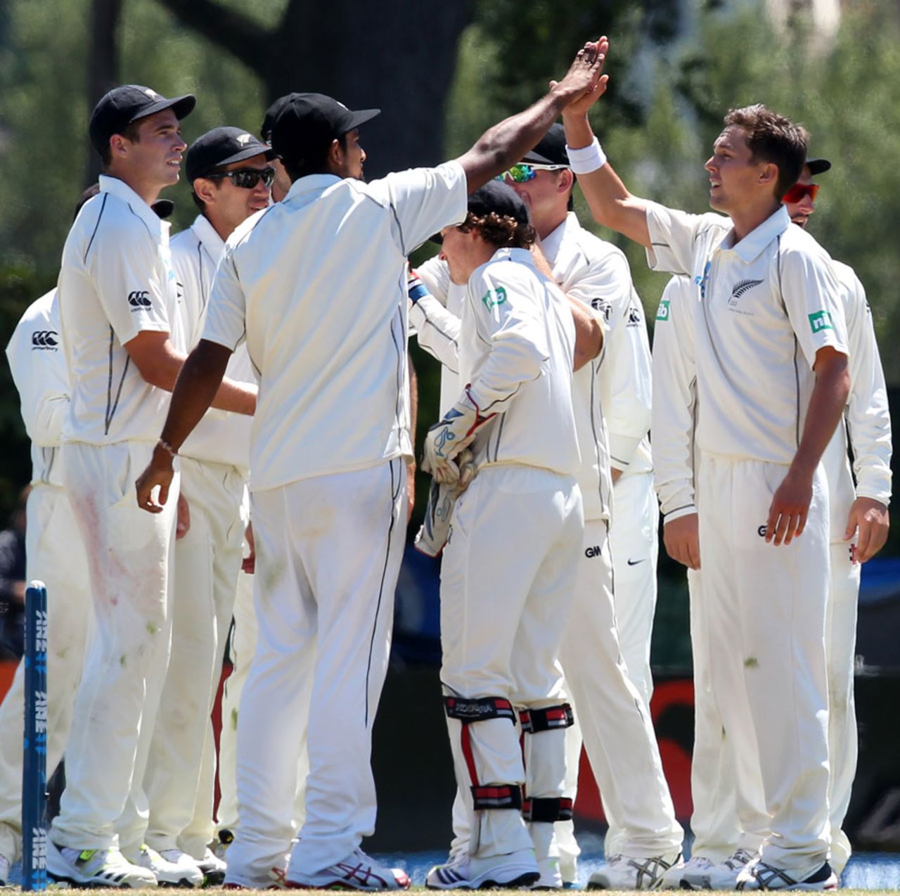 Trent Boult celebrates with team-mates after dismissing Kieran Powell, New Zealand v West Indies, 1st Test, Dunedin, 3rd day, December 5, 2013