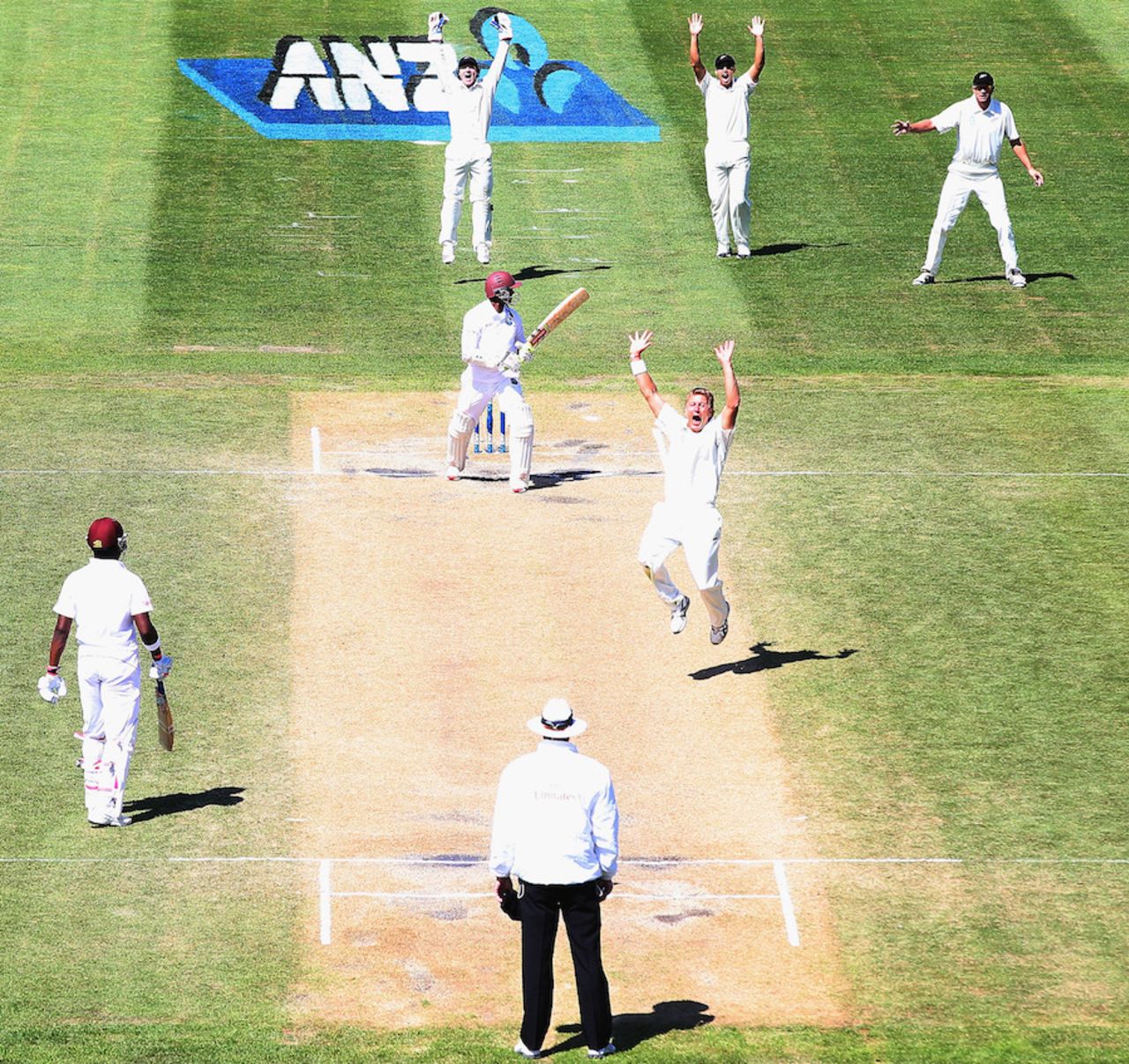 Neil Wagner appeals successfully for an lbw against Shivnarine Chanderpaul, New Zealand v West Indies, 1st Test, Dunedin, 4th day, December 6, 2013
