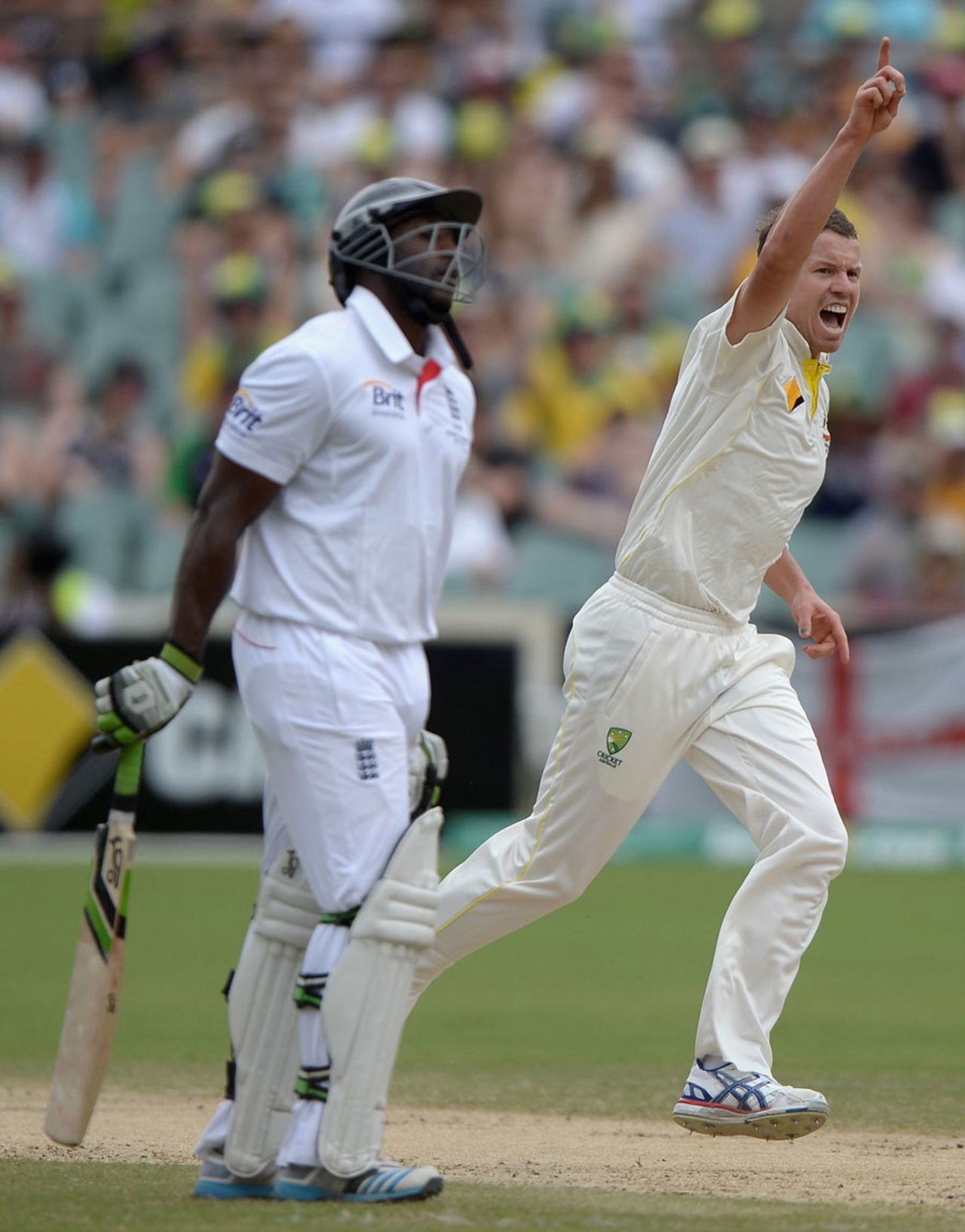 Peter Siddle had Michael Carberry caught at long leg, Australia v England, 2nd Test, Adelaide, 4th day, December 8, 2013