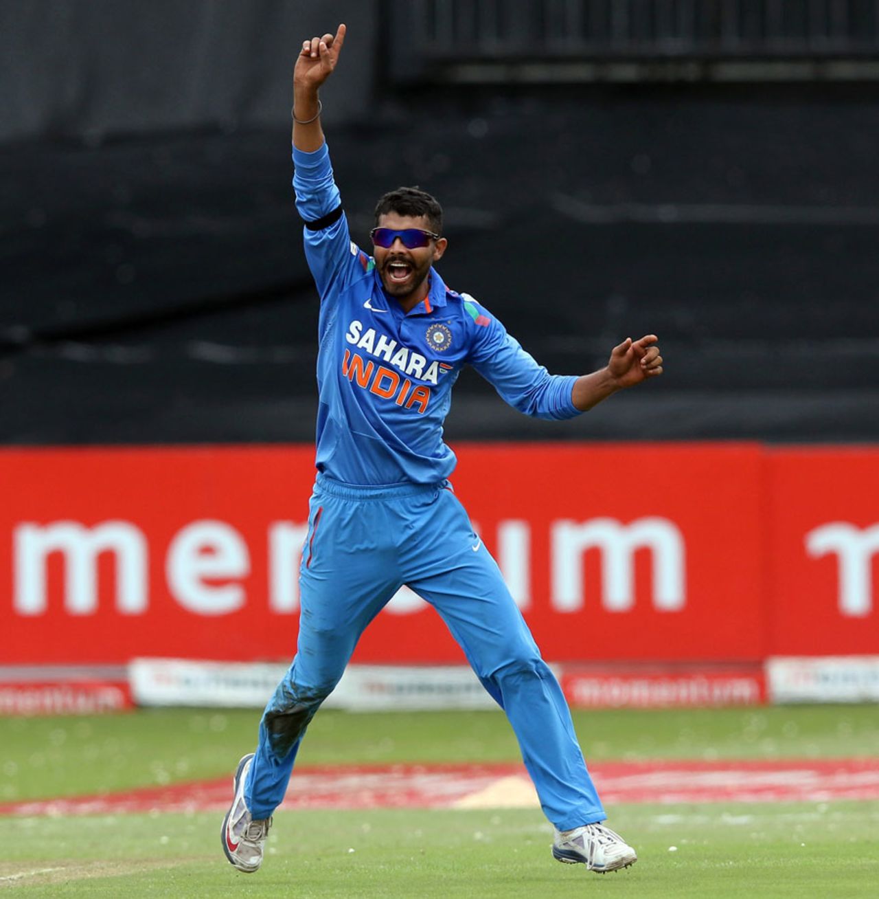 Ravindra Jadeja exults after a wicket, South Africa v India, 2nd ODI, Durban, December 8, 2013