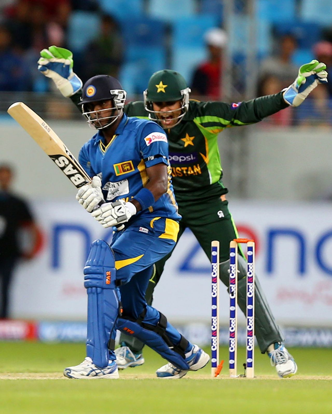 Pakistan wicketkeeper Umar Akmal appeals unsuccessfully against Angelo Mathews, Pakistan v Sri Lanka, 1st T20I, Dubai, December 11, 2013