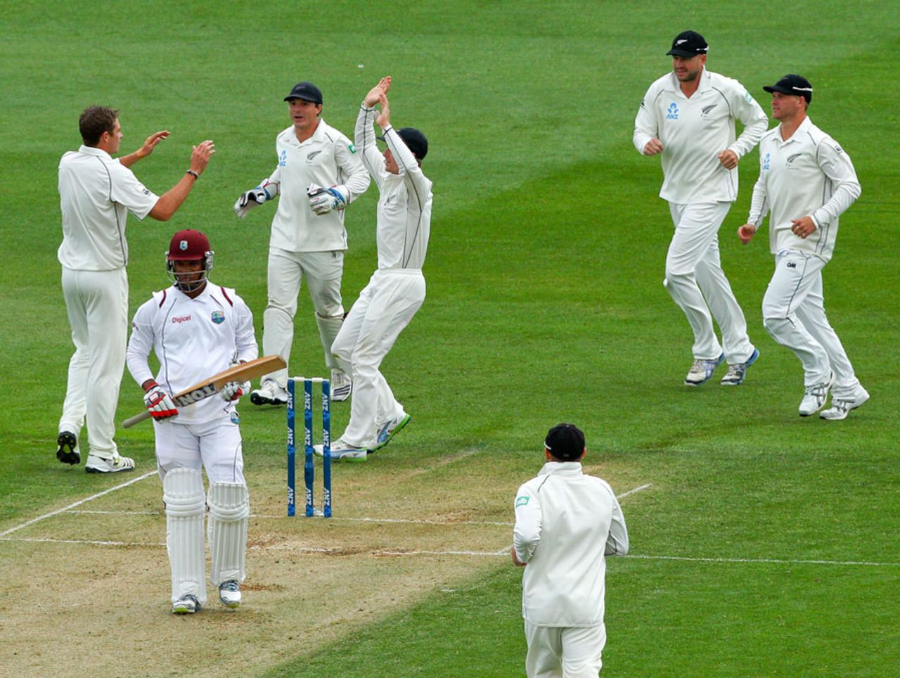 Tim Southee is congratulated by team-mates after dismissing Kieran Powell, New Zealand v West Indies, 2nd Test, Wellington, 2nd day, December 12, 2013