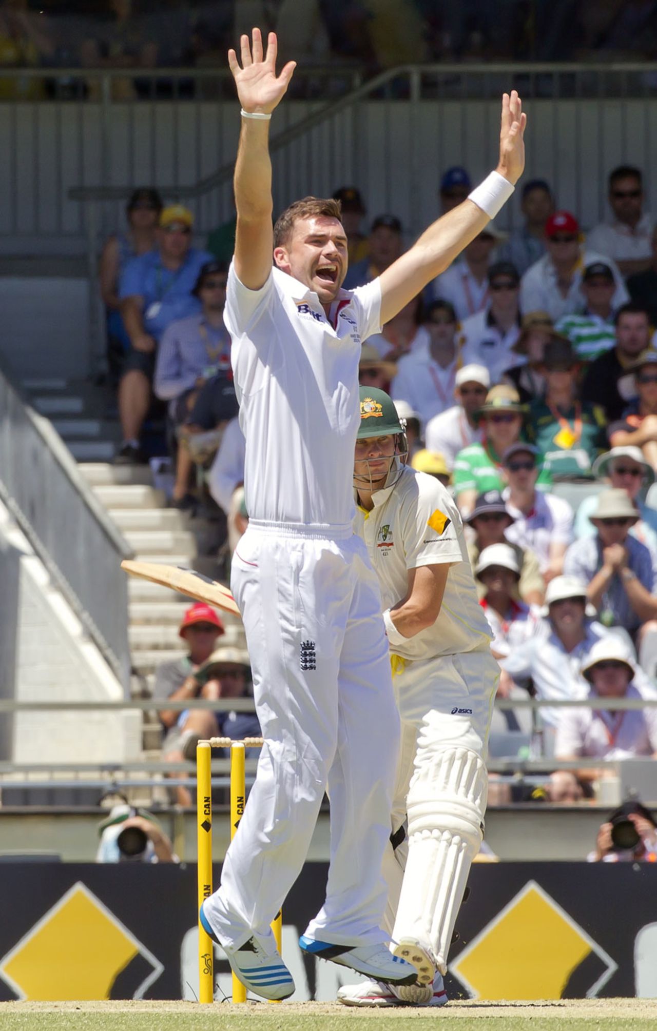 James Anderson had Steven Smith on review, Australia v England, 3rd Test, Perth, 2nd day, December 14, 2013