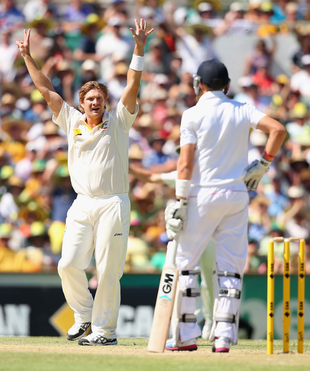 Shane Watson had Joe Root caught behind, Australia v England, 3rd Test, Perth, 2nd day, December 14, 2013