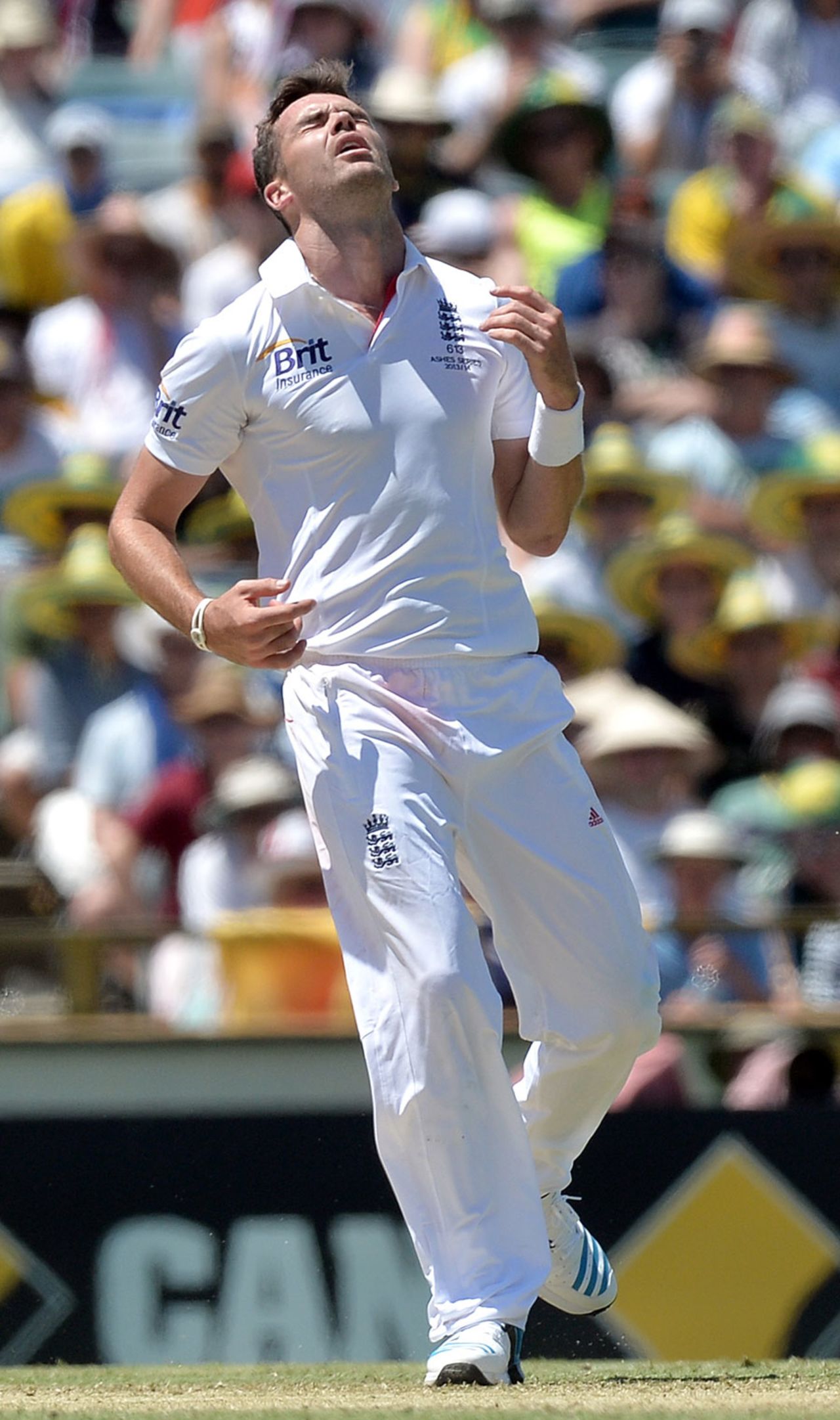 James Anderson reacts with despair to his nightmare over, Australia v England, Test, Perth, 4th day, December 16, 2013