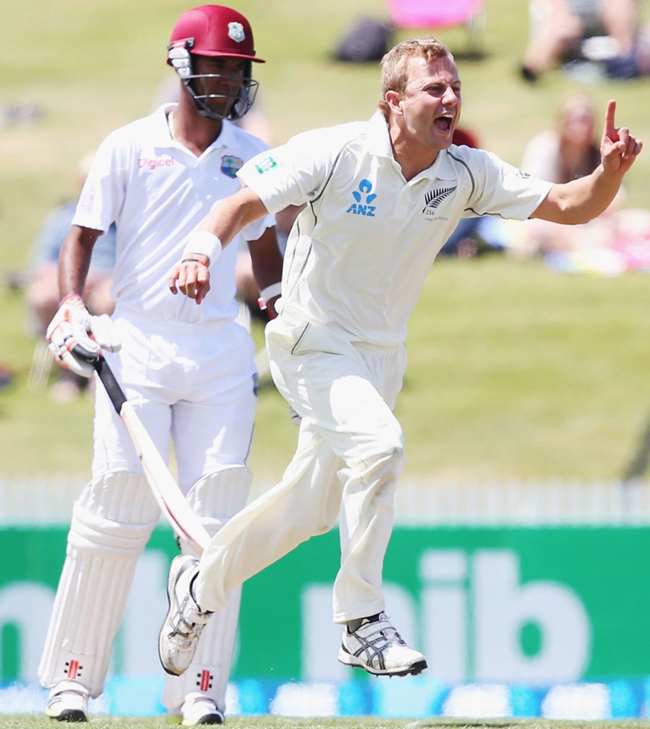 Neil Wagner celebrates a wicket, New Zealand v West Indies, 3rd Test, Hamilton, 1st day, December 19, 2013