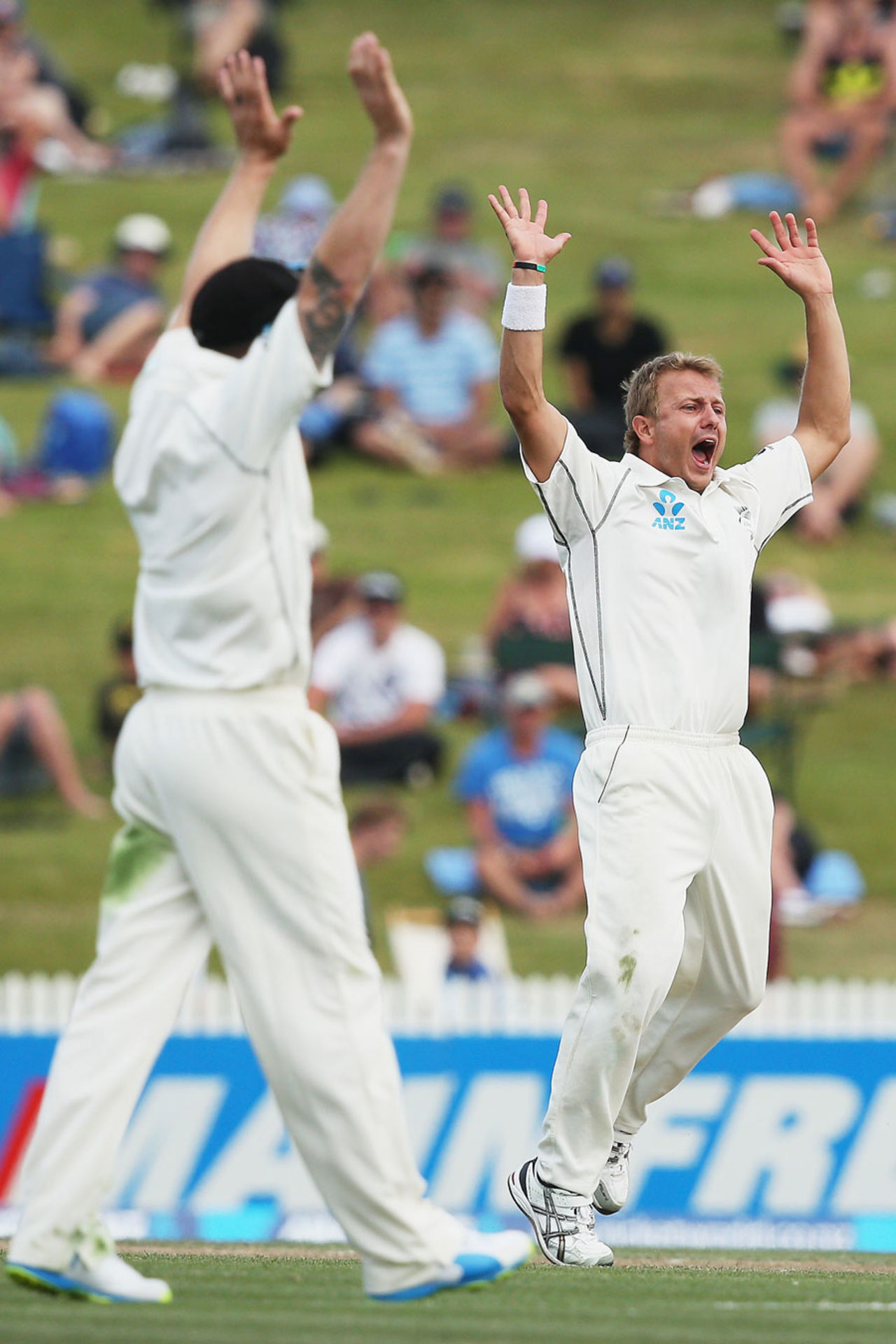 Neil Wagner is overjoyed after getting a wicket, New Zealand v West Indies, 3rd Test, Hamilton, 3rd day, December 21, 2013