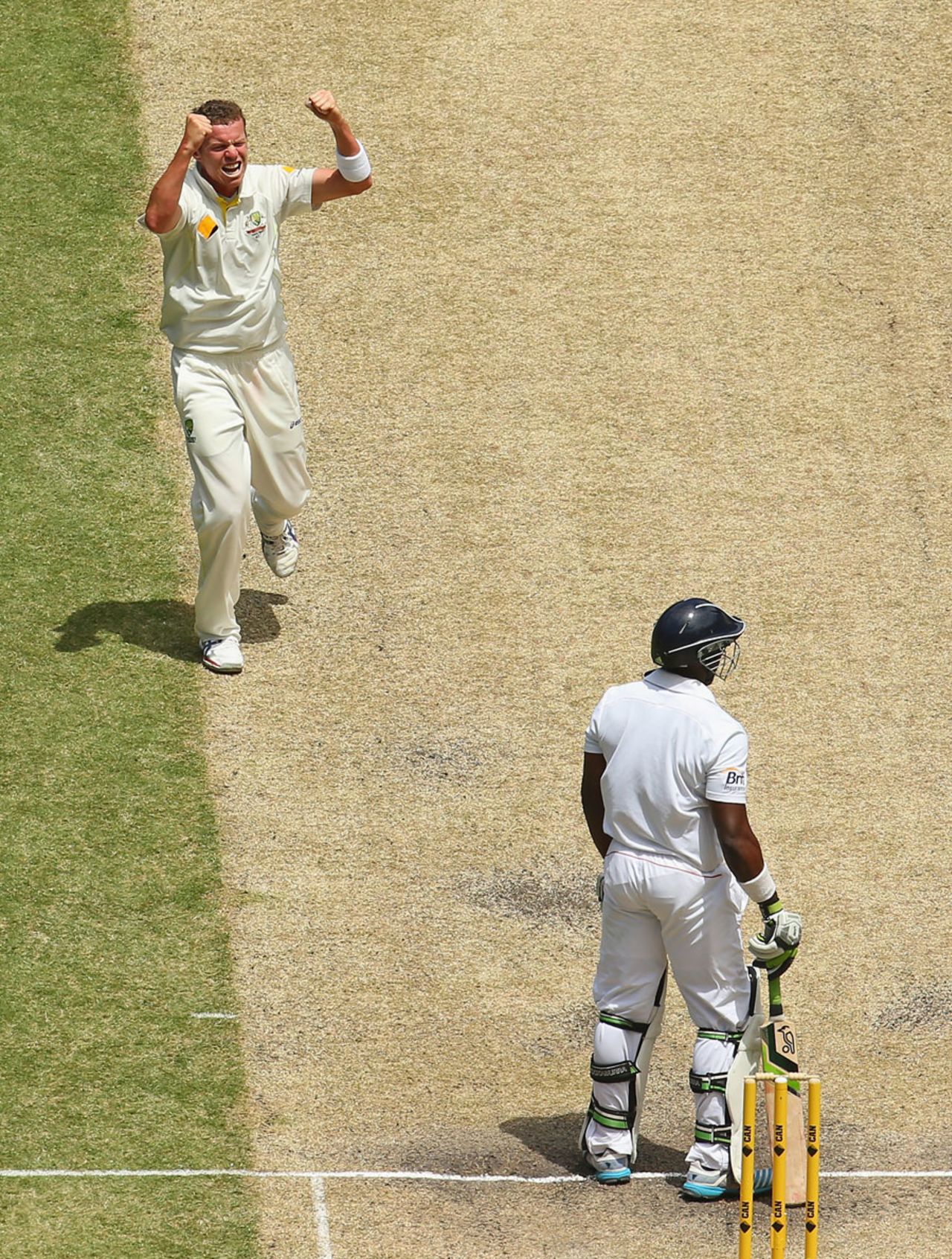 Peter Siddle celebrates after winning a decision against Michael Carberry, Australia v England, 4th Test, Melbourne, 3rd day, December 28, 2013