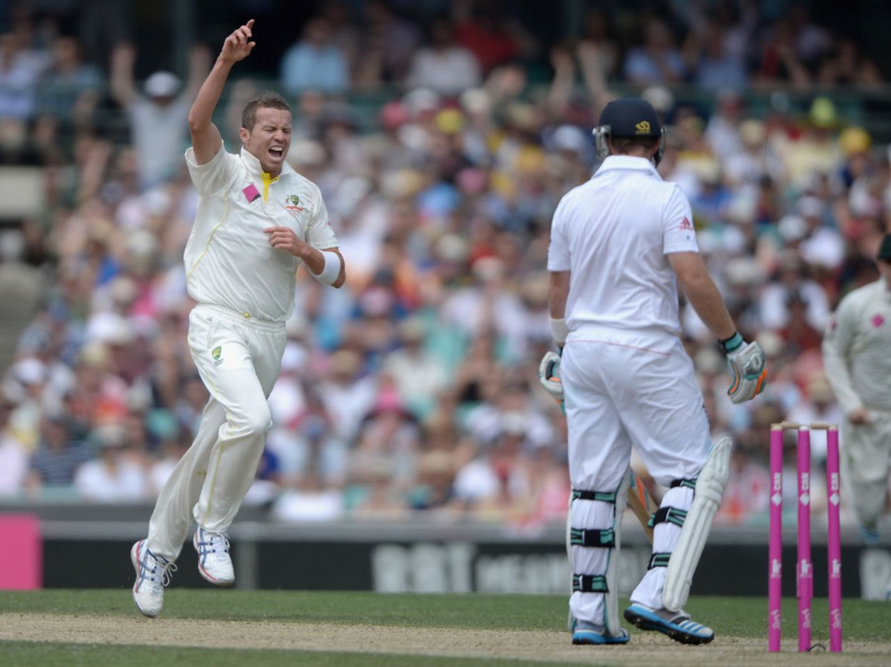 Peter Siddle had Ian Bell caught behind, Australia v England, 5th Test, Sydney, 2nd day, January 4, 2014