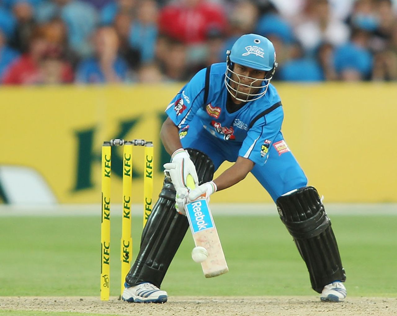 Shakib Al Hasan pulls out a scoop, Adelaide Strikers v Sydney Sixers, Big Bash League, Adelaide, January 5, 2014