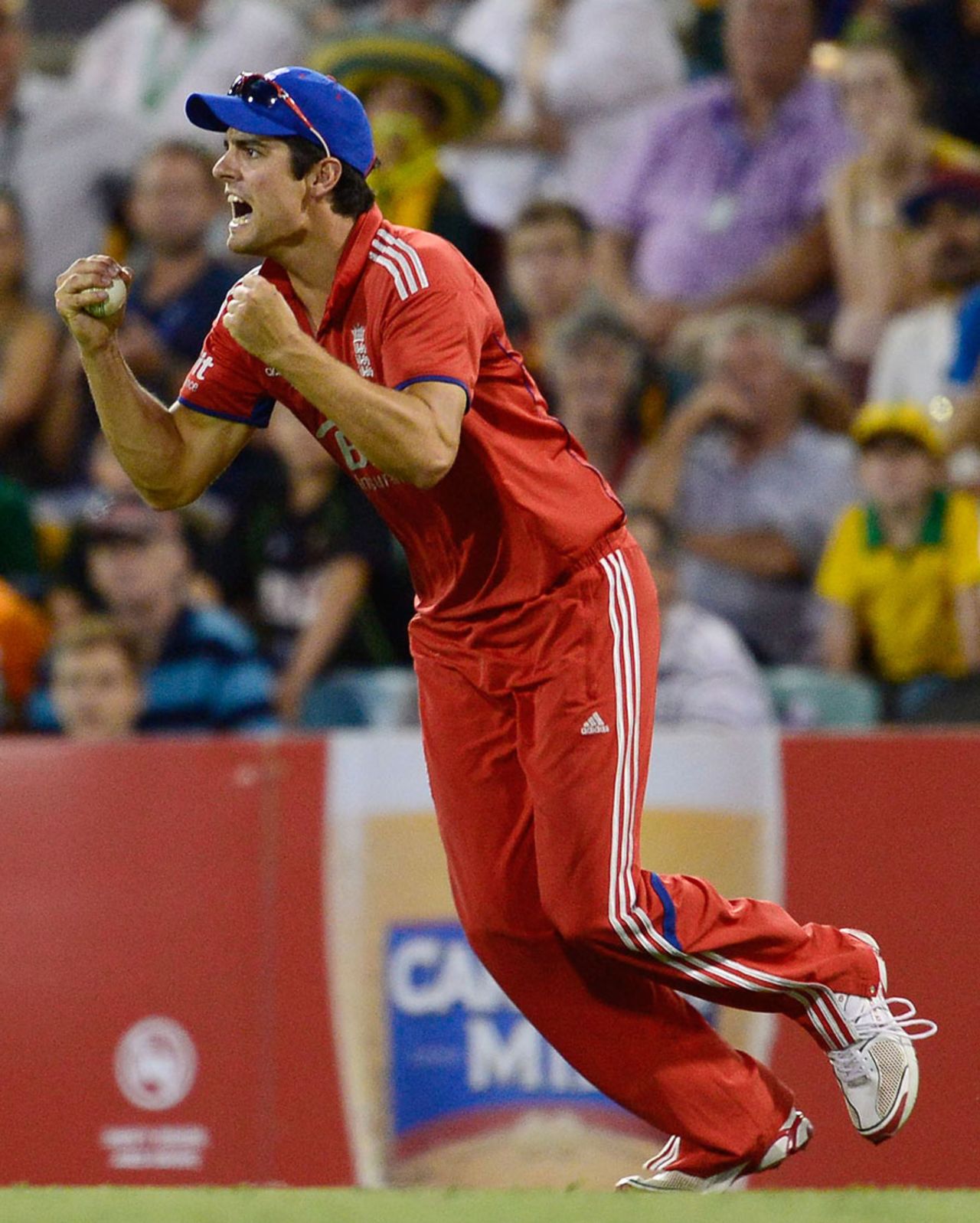 Alastair Cook roars after catching Brad Haddin, Australia v England, 2nd ODI, Gabba, January 17, 2014