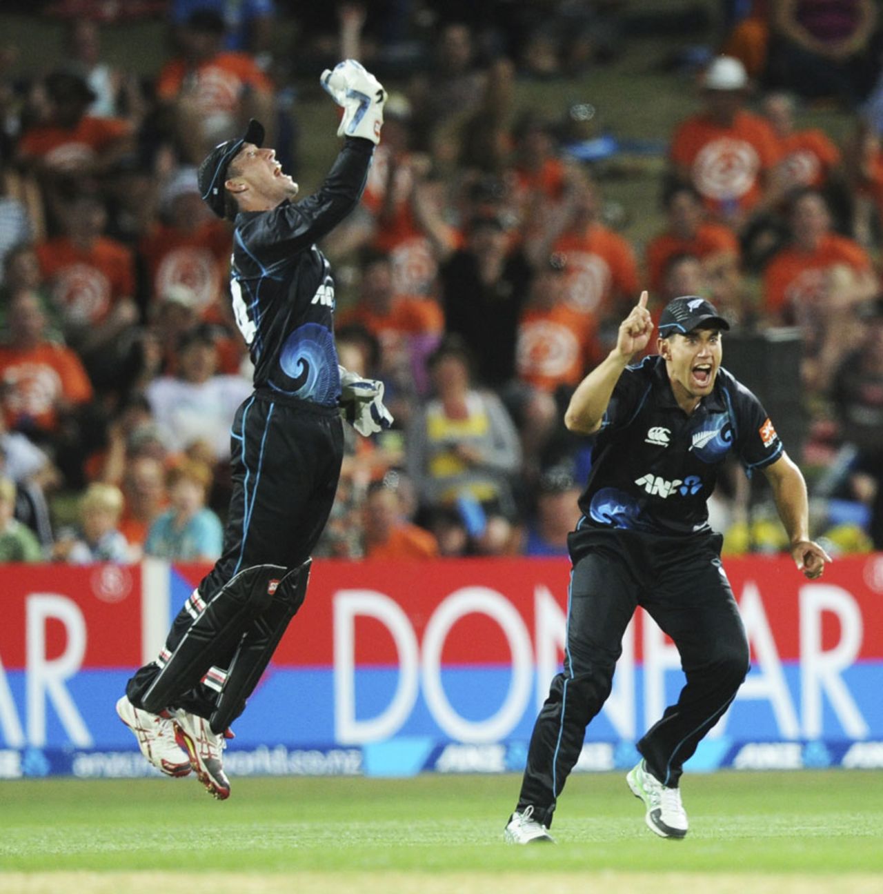 Luke Ronchi and Ross Taylor celebrate a wicket, New Zealand v India, 1st ODI, Napier, January 19, 2014