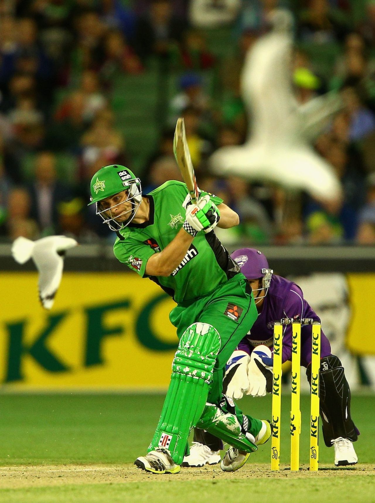 Luke Wright's fifty included five fours and two sixes, Melbourne Stars v Hobart Hurricanes, Big Bash League, Melbourne, January 21, 2014