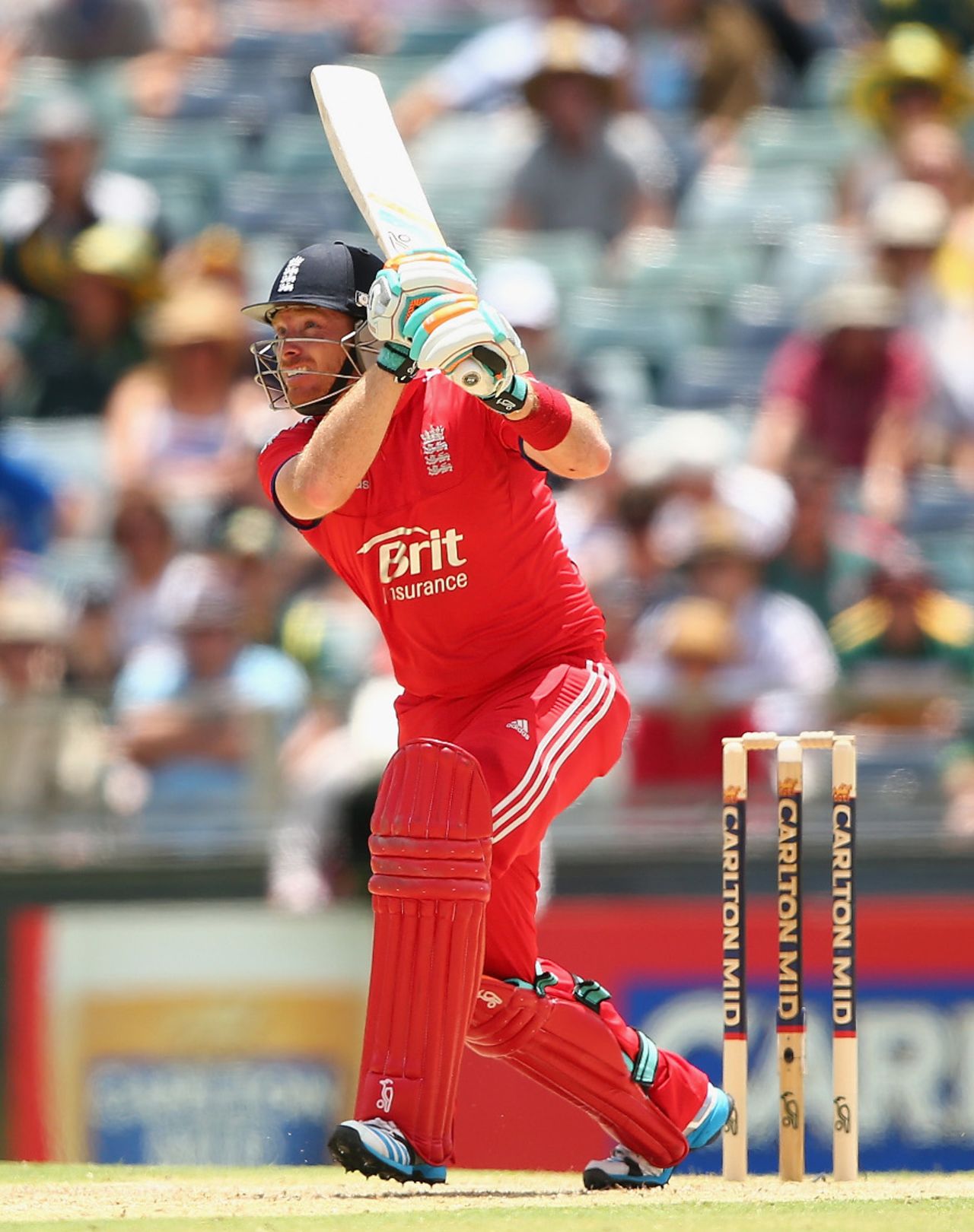 Ian Bell drives down the ground during his fifty, Australia v England, 4th ODI, Perth, January 24, 2014