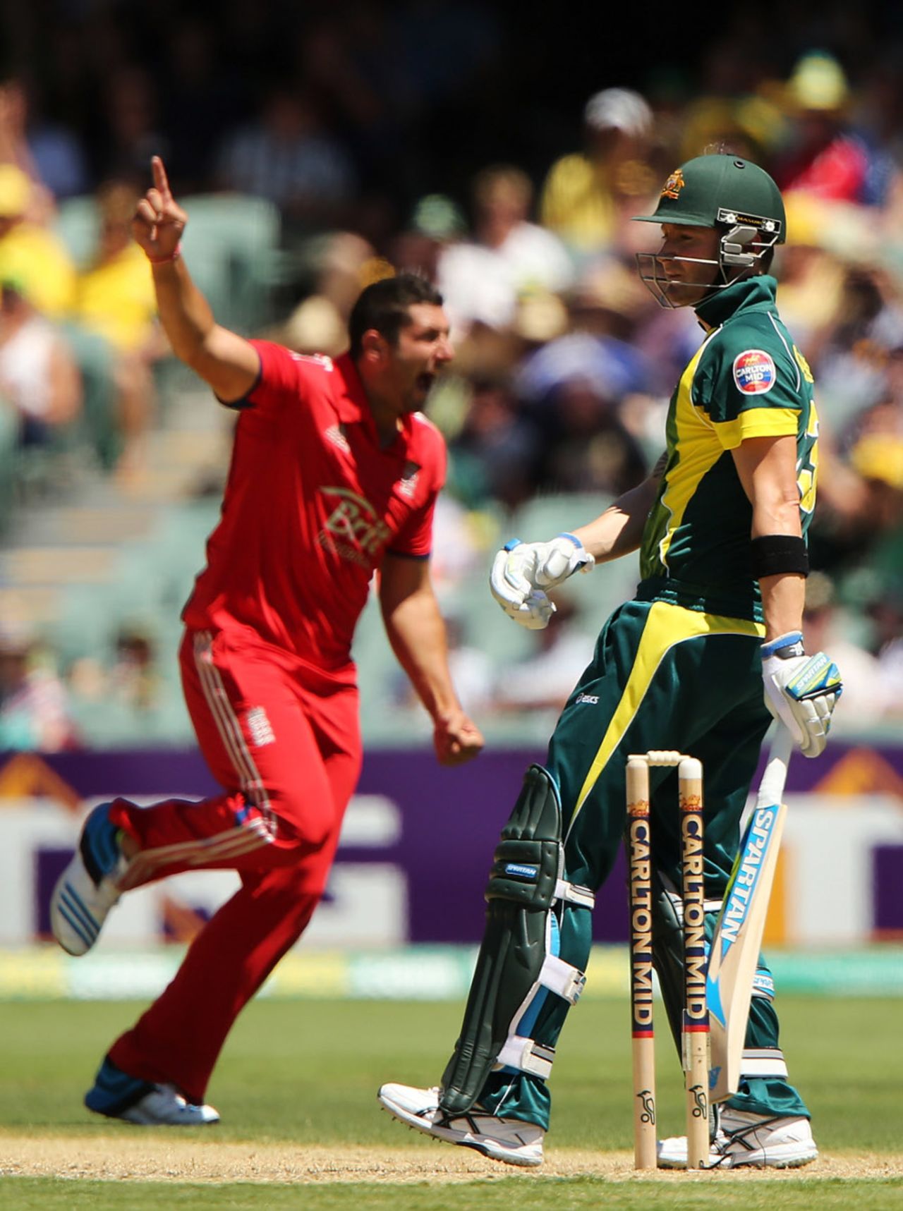 Tim Bresnan was delighted to remove Michael Clarke, Australia v England, 5th ODI, Adelaide, January 26, 2014