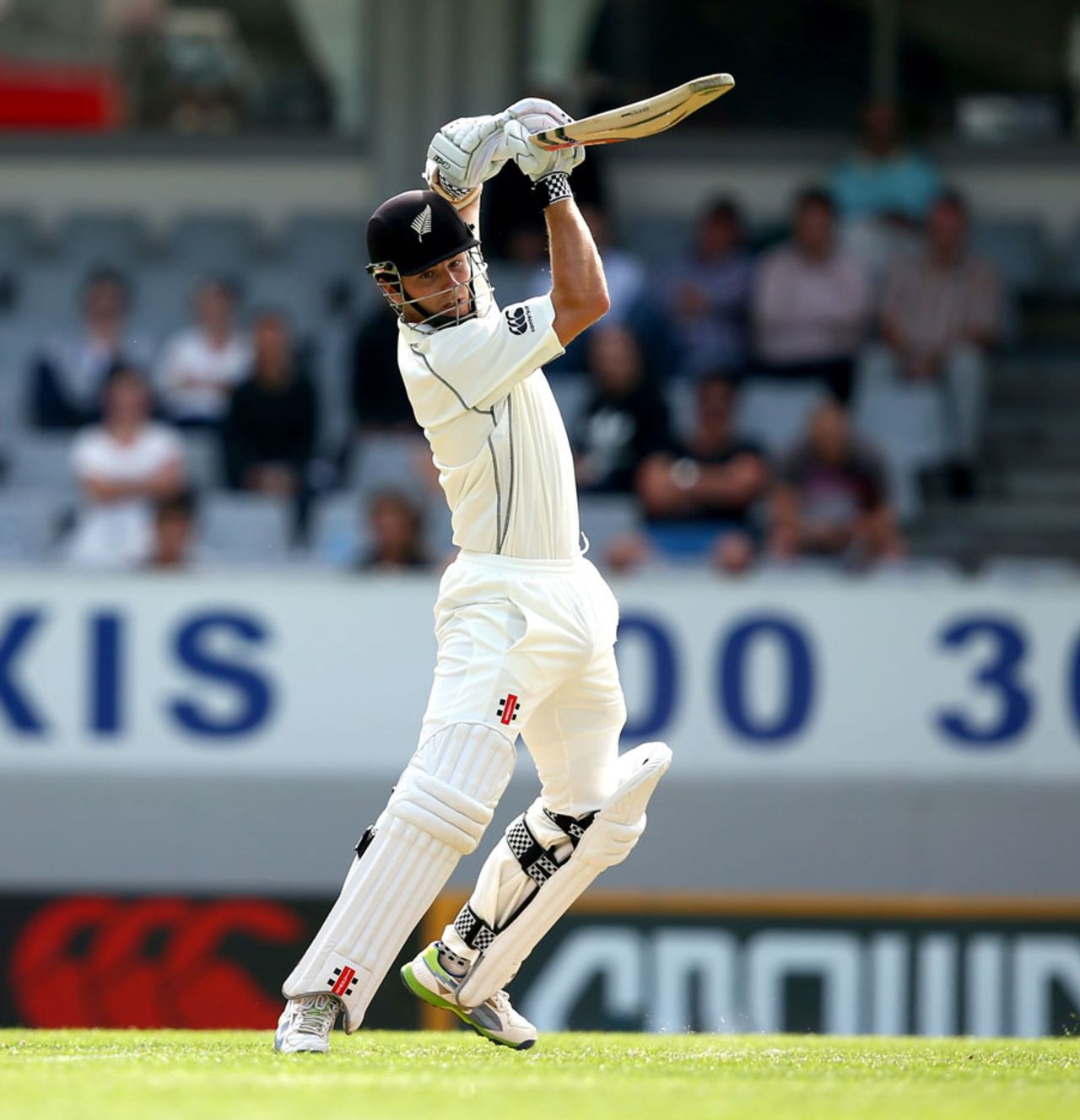 Kane Williamson hit 10 fours and two sixes during his 113, New Zealand v India, 1st Test, Auckland, 1st day, February 6, 2014
