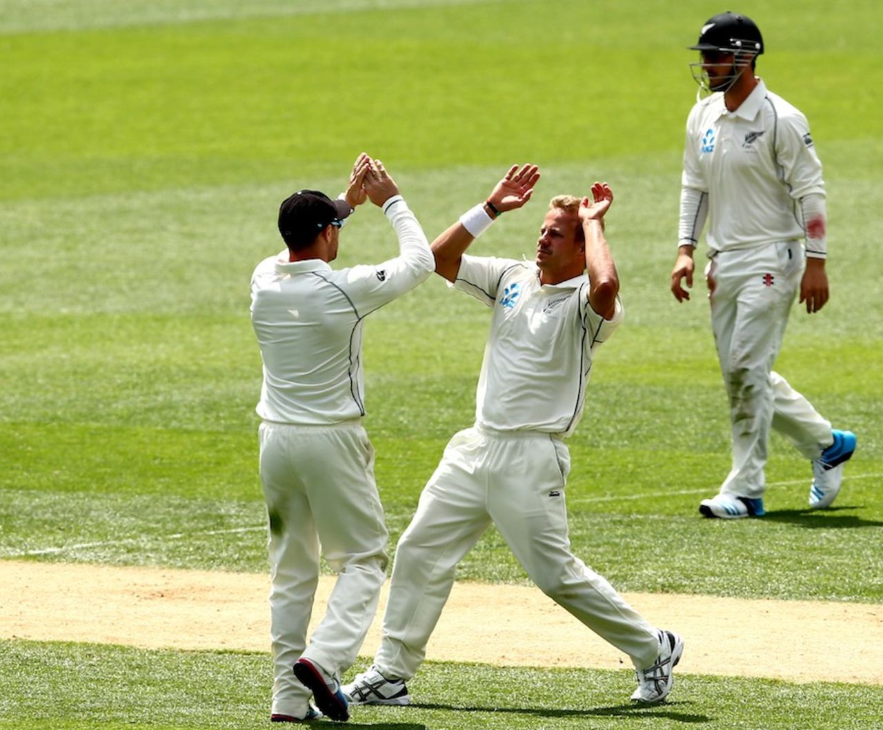 Neil Wagner ran through the Indian tail, New Zealand v India, 1st Test, Auckland, 3rd day, February 8, 2014