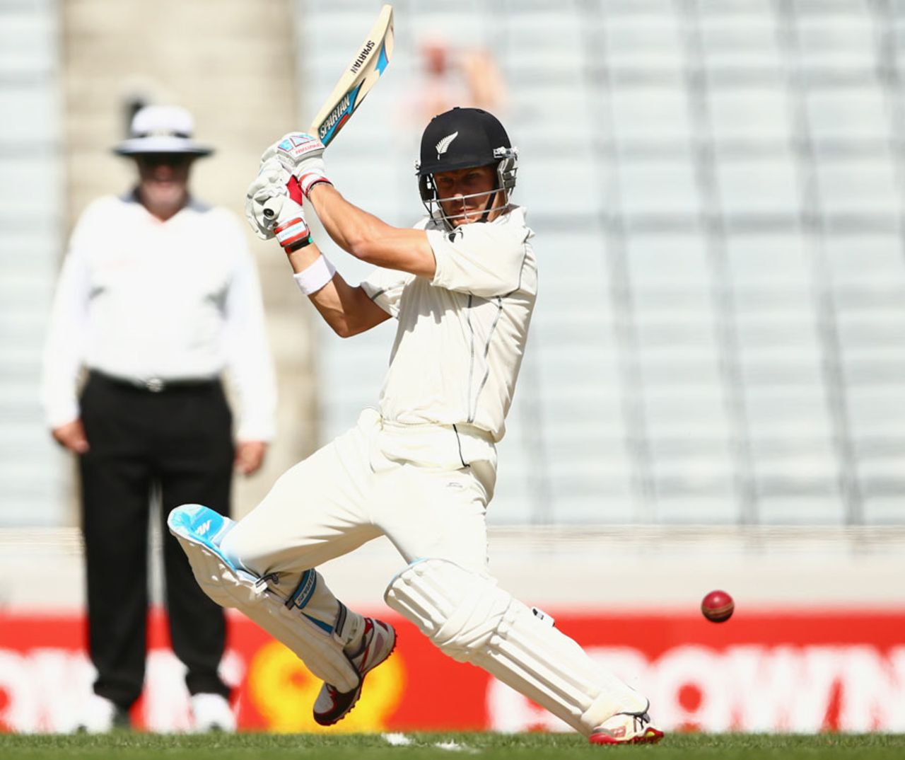 Neil Wagner attacks the off side, New Zealand v India, 1st Test, Auckland, 3rd day, February 8, 2014