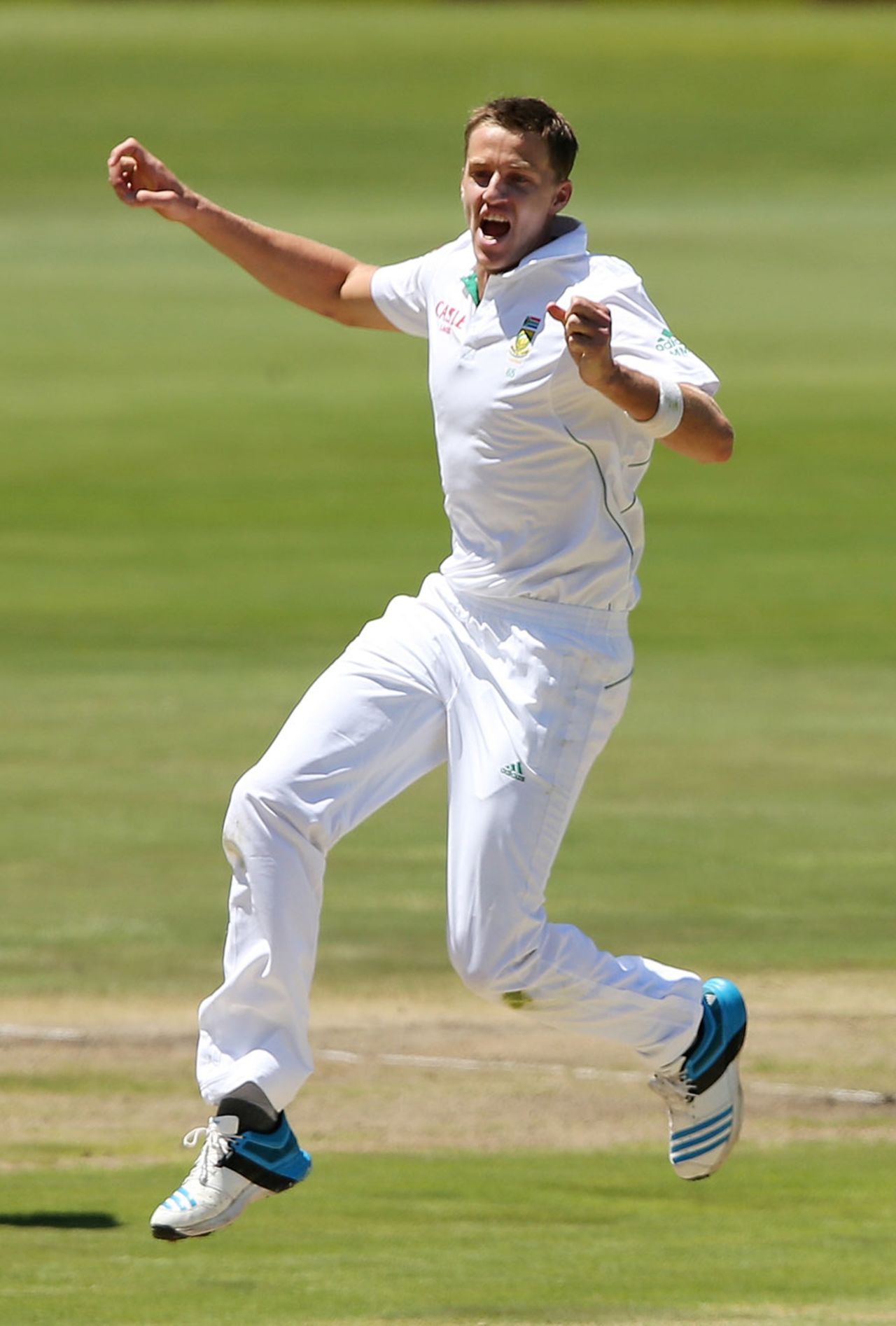Morne Morkel leaps in celebration, South Africa v Australia, 1st Test, Centurion, 1st day, February 12, 2014