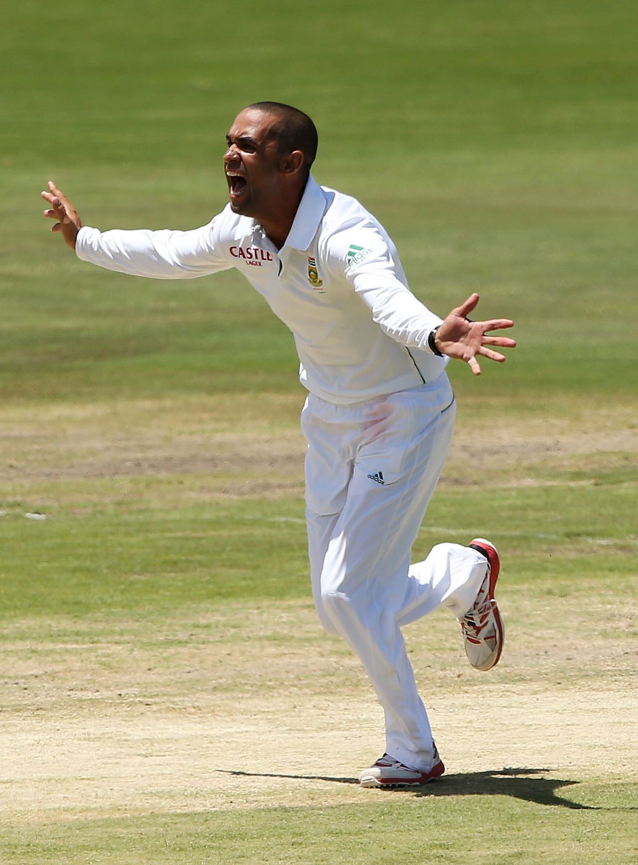 Robin Peterson accepted his wicket with glee, South Africa v Australia, 1st Test, Centurion, 2nd day, February 13, 2014