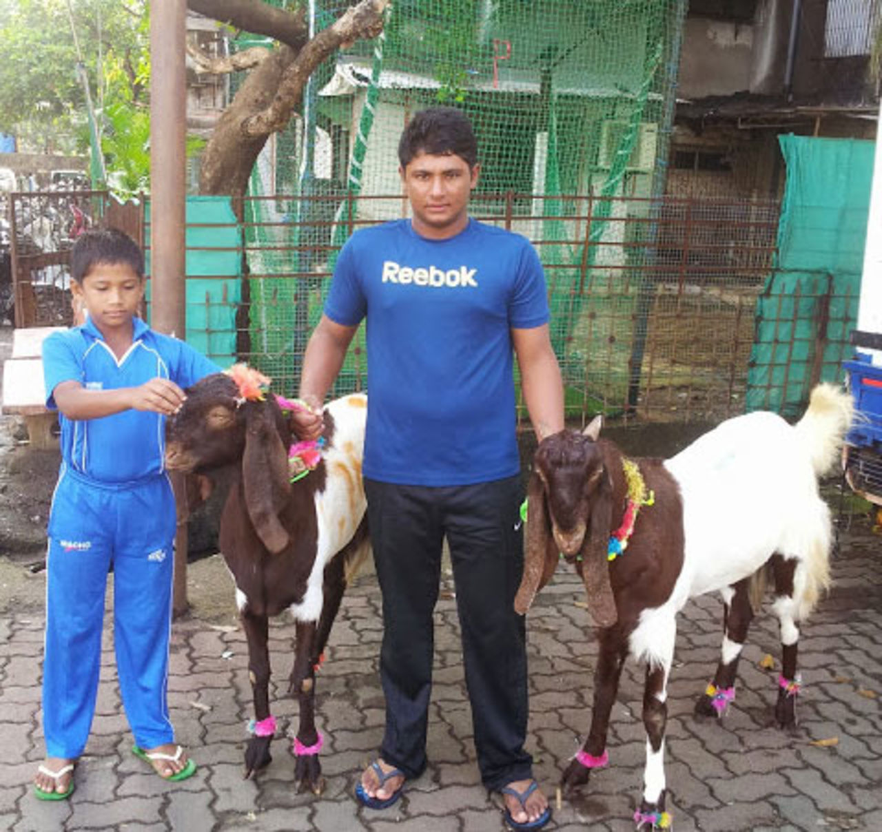 India Under-19 batsman Sarfaraz Khan and his brother Musheer tend to two goats