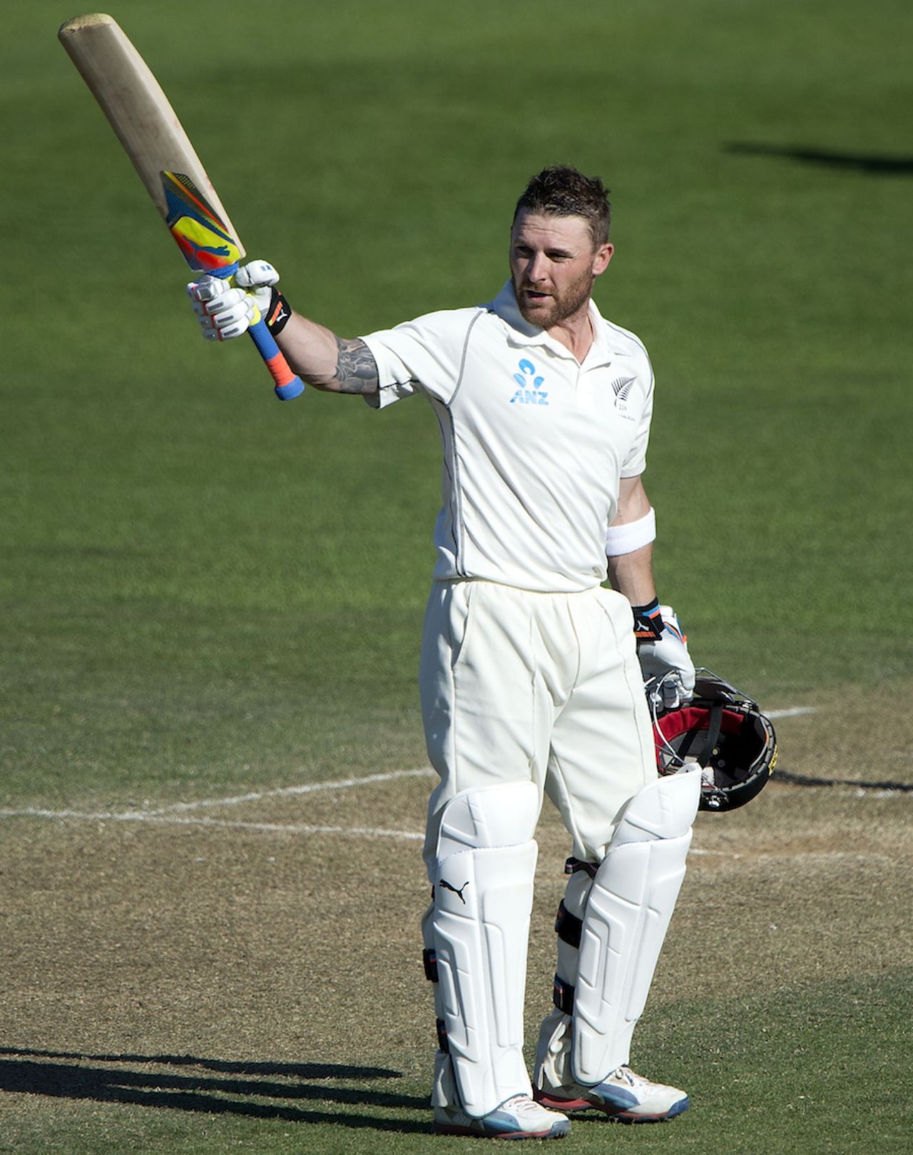 Brendon McCullum raises the bat after his fighting ton, New Zealand v India, 2nd Test, 3rd day, Wellington, February 16, 2014