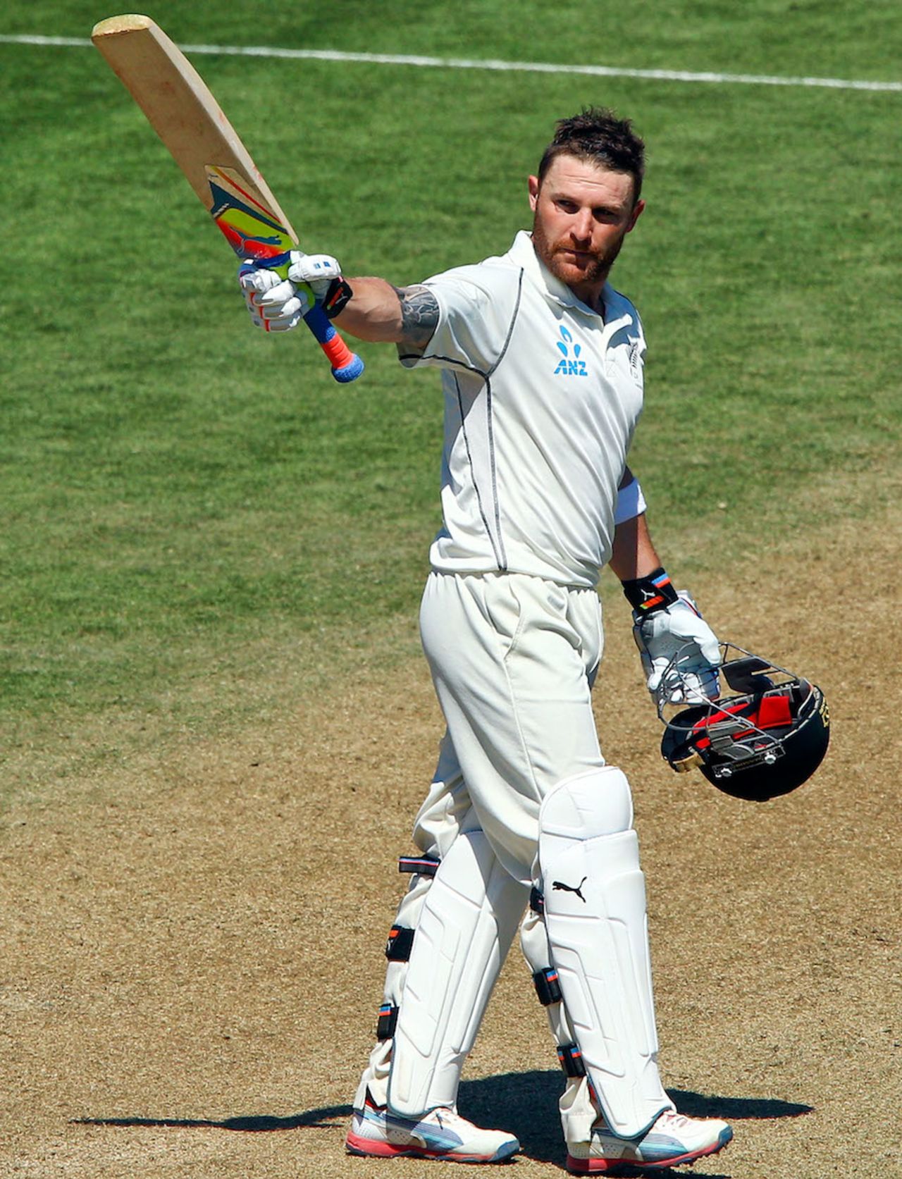 Brendon McCullum scored his second double-century of the series, New Zealand v India, 2nd Test, 4th day, Wellington, February 17, 2014