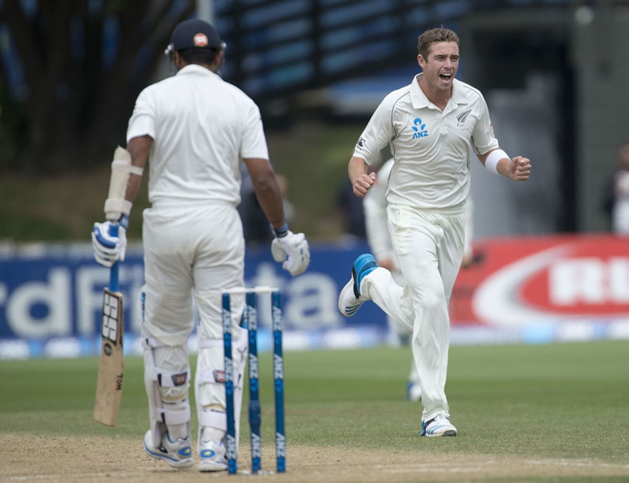 Tim Southee celebrates Murali Vijay's wicket, New Zealand v India, 2nd Test, Wellington, 5th day, February 18, 2014