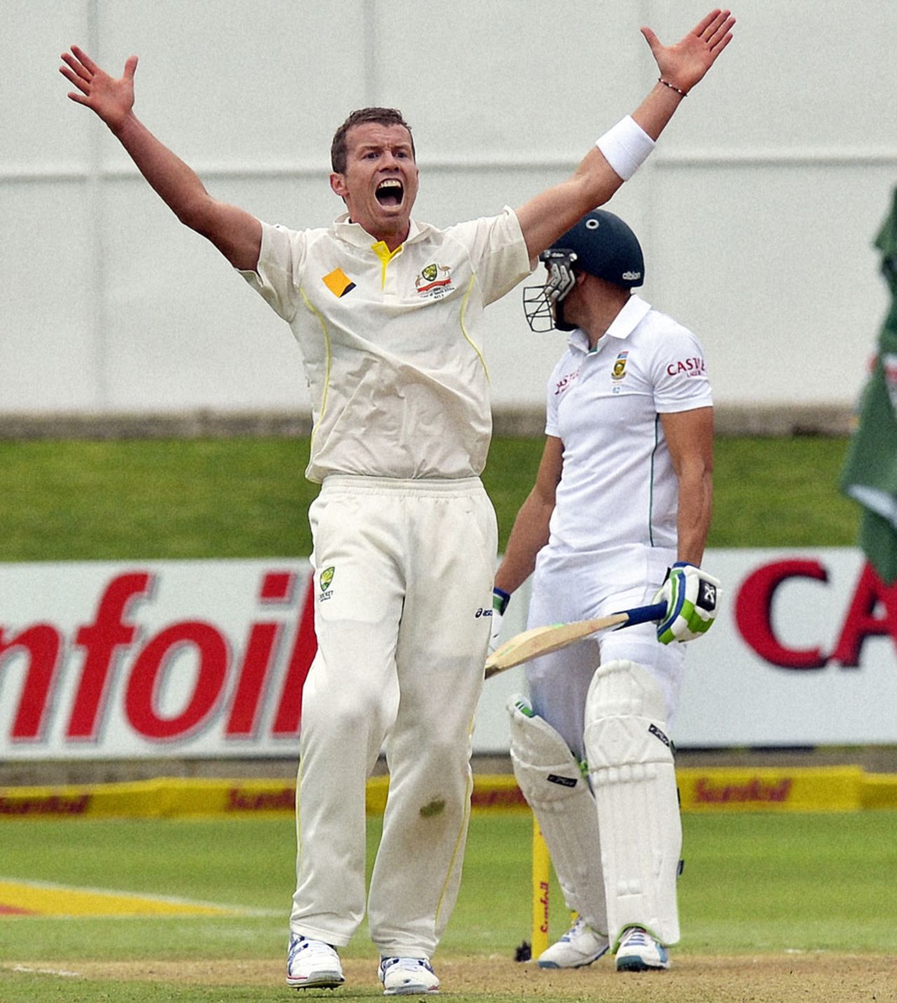 Peter Siddle appeals for an lbw against Faf du Plessis, South Africa v Australia, 2nd Test, Port Elizabeth, 1st day, February 20, 2014