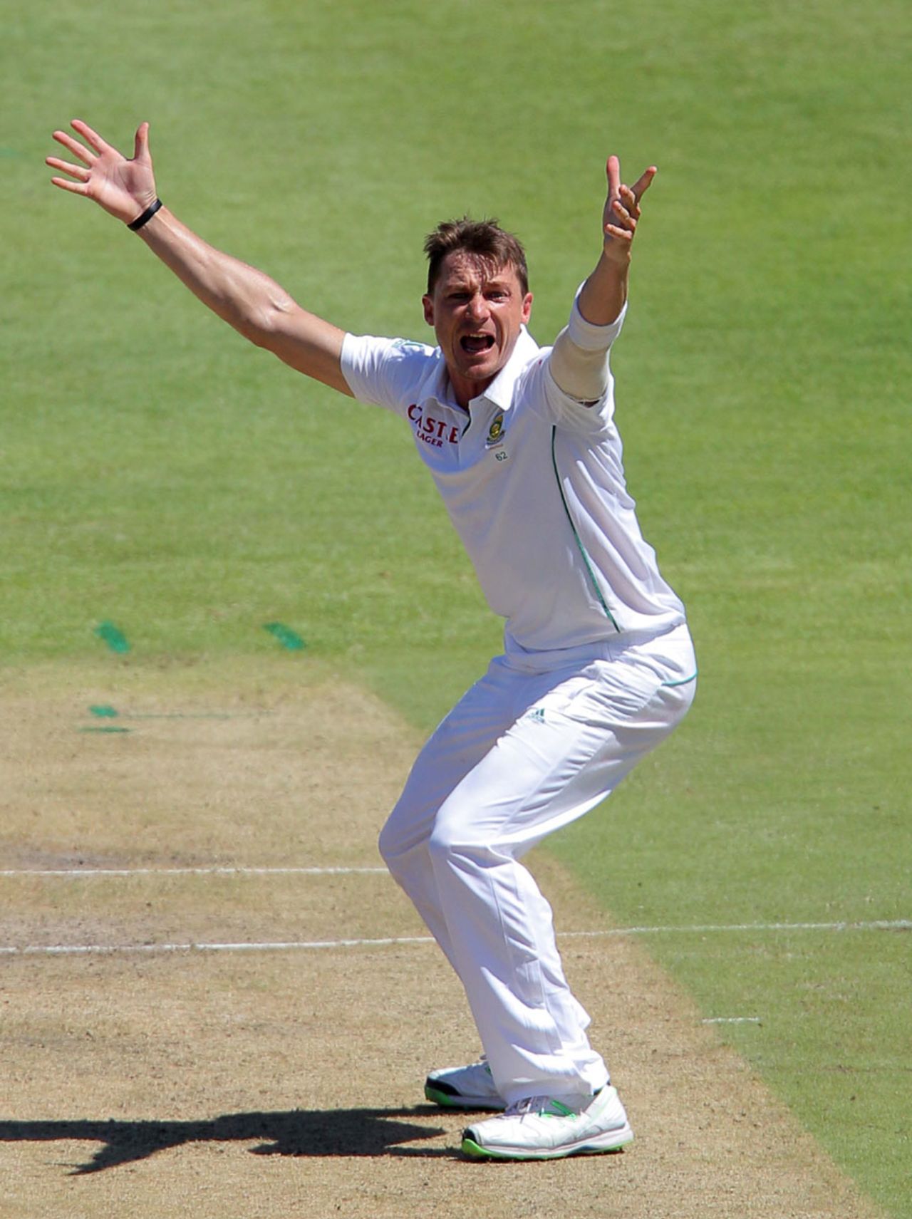 Dale Steyn appeals unsuccessfully for a wicket, South Africa v Australia, 3rd Test, Cape Town, 1st day, March 1, 2014