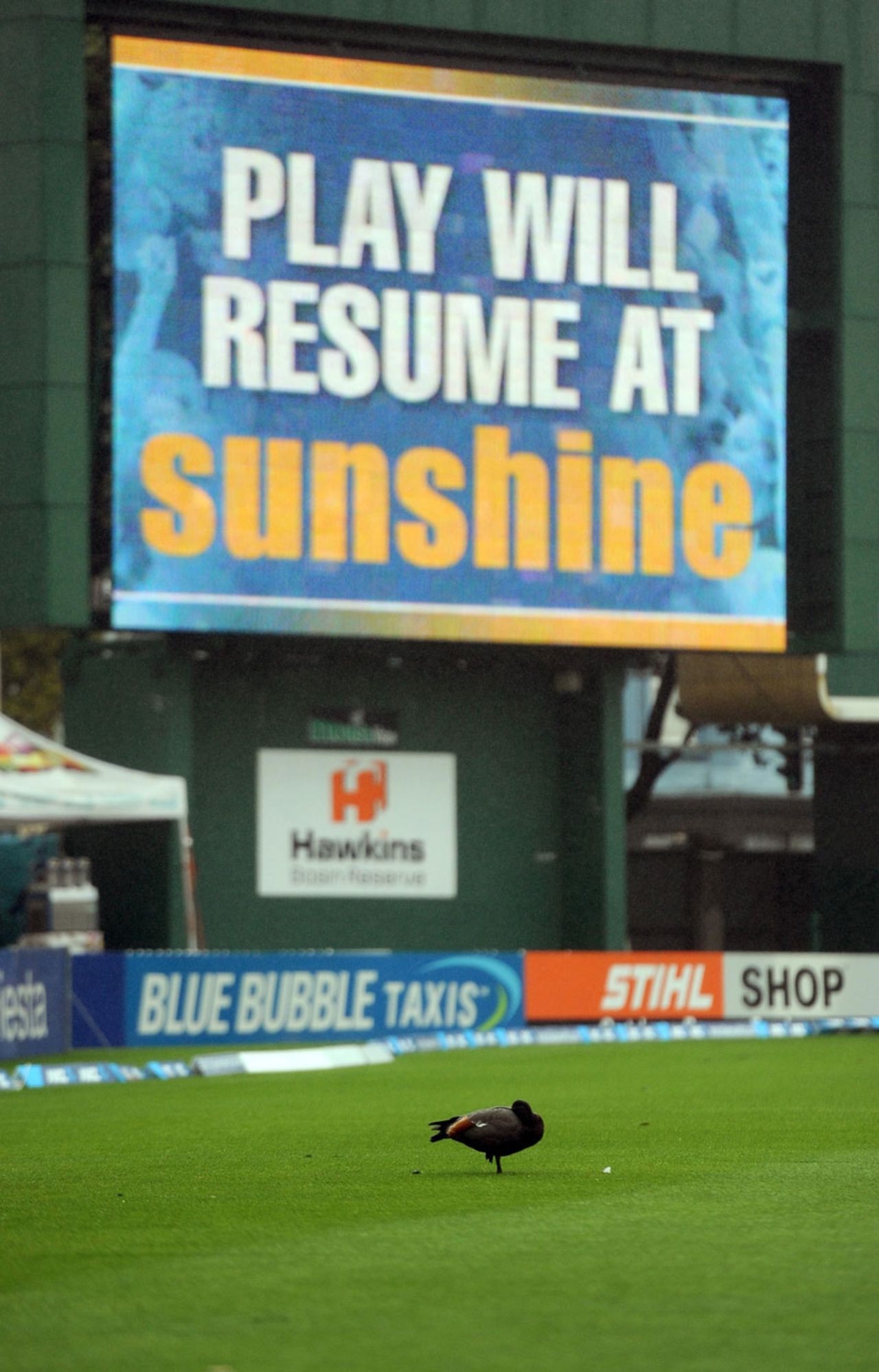 The scoreboard tells the story, New Zealand v England, 2nd Test, Wellington, 5th day, March 18, 2013