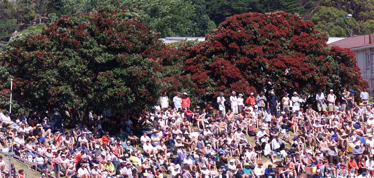 Fans sit in front of the flowering pohutakawa trees at the Basin, New Zealand v Zimbabwe, Only Test, Wellington, 1st day, December 26, 2000