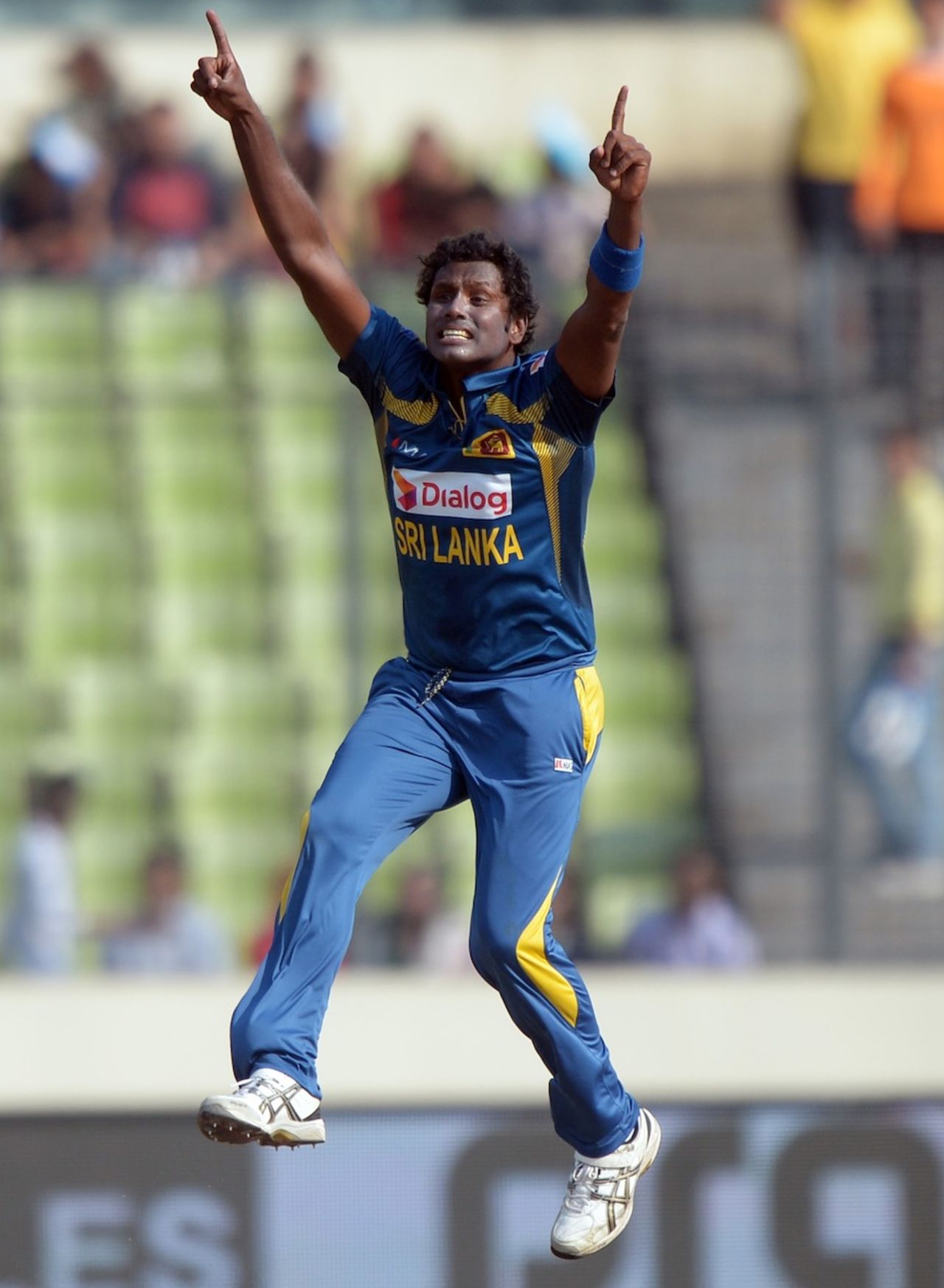 Angelo Mathews appeals unsuccessfully, Pakistan v Sri Lanka, Asia Cup final, Mirpur, March 8, 2014
