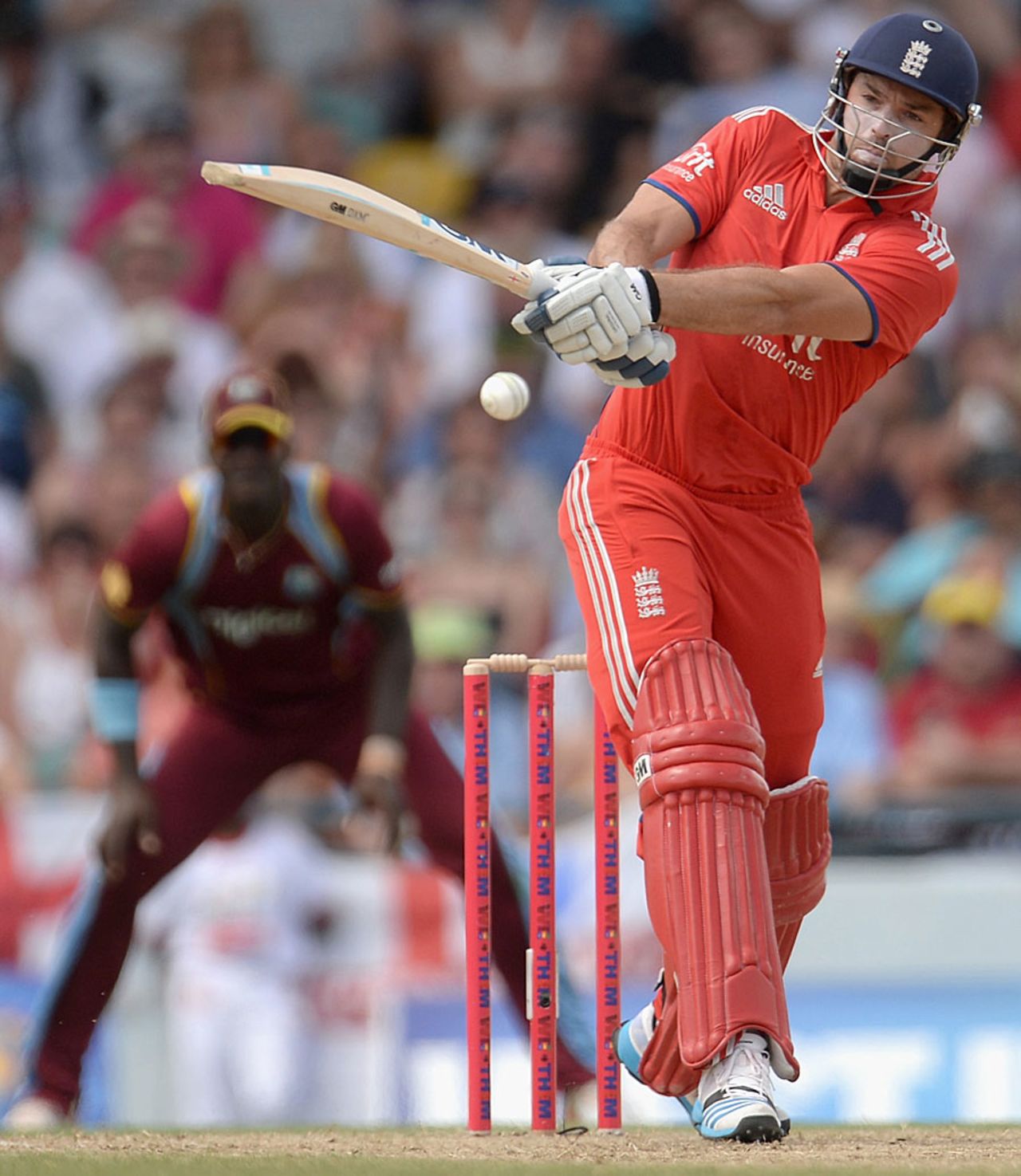 Michael Lumb pulls during his aggressive 63, West Indies v England, 3rd T20, Barbados, March 13, 2014