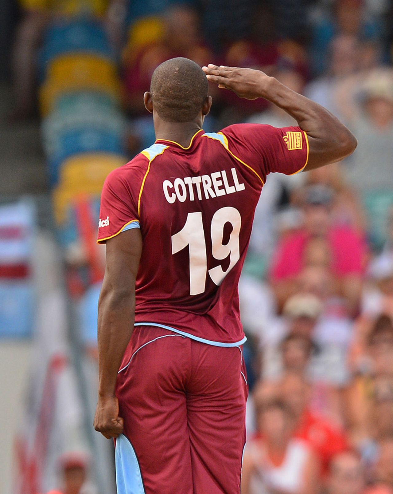 Sheldon Cottrell salutes after taking a wicket, West Indies v England, 3rd T20, Barbados, March 13, 2014